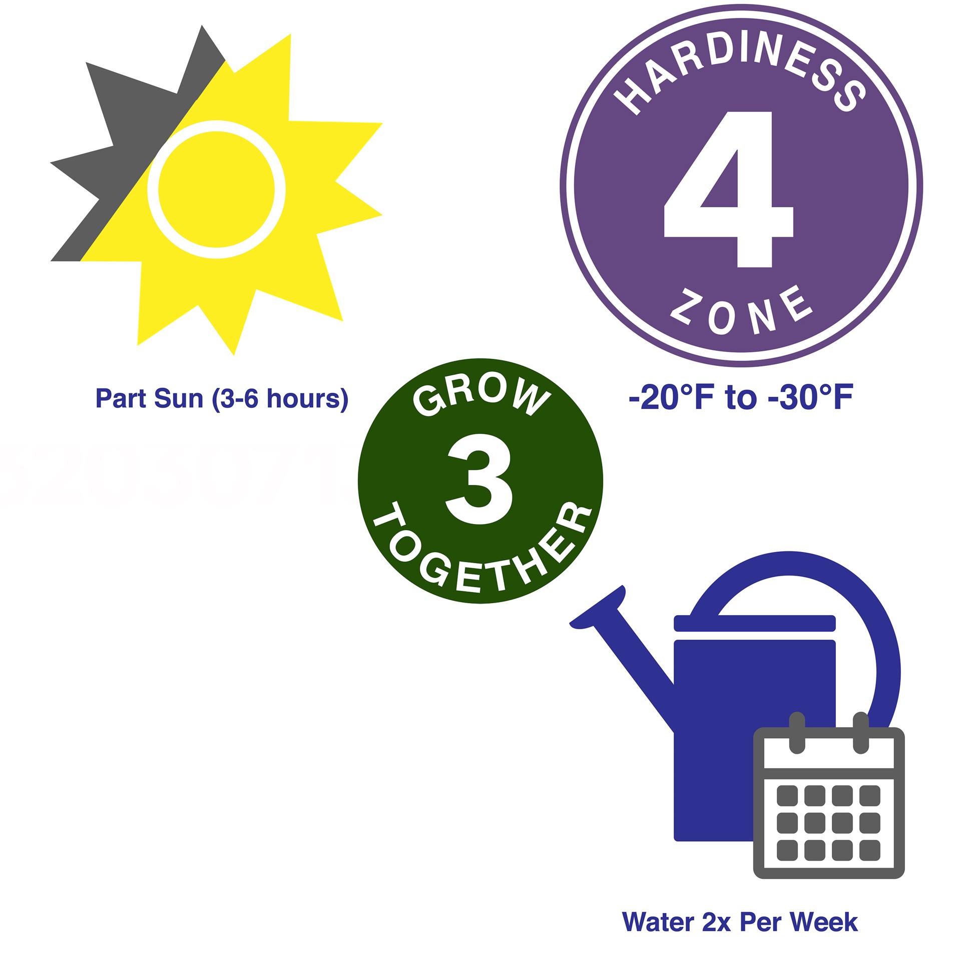 slide 2 of 2, Lowe's Eugenia Topiary Feature Shrub in 1.50 -Gallon Pot 1 -Pack with White Blooms, 1 ct