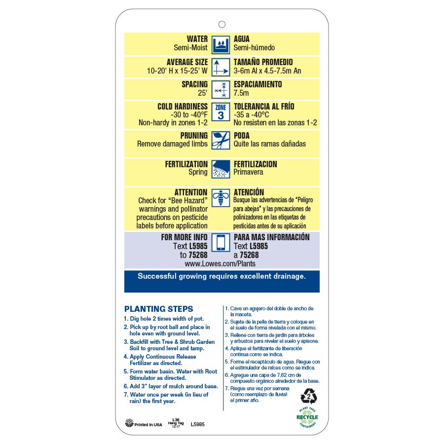 slide 3 of 3, Lowe's -Gallon Multicolor Flowering Flowering Crabapple In pot (with soil), 1 ct