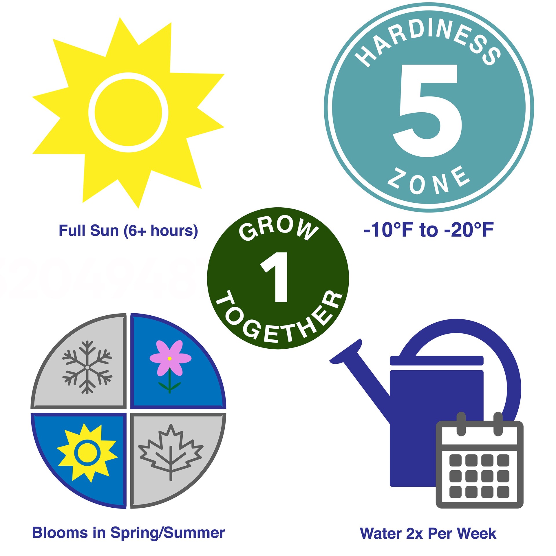 slide 5 of 6, Lowe's Lavender Lavender Plant in 2.5 -Quart Pot 1.0 -Pack, 1 ct