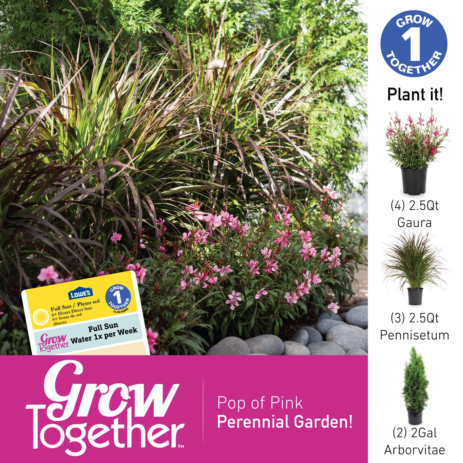 slide 5 of 5, Lowe's Bee Blossom Plant in 2.5-Quart, 1 ct