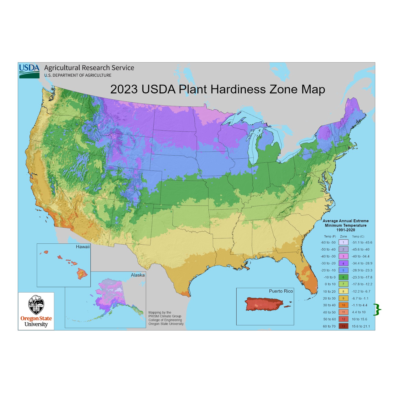 slide 4 of 4, Lowe's Giant Sword Fern Accent Shrub in 1.72 -Gallon Pot 1 -Pack, 1 ct