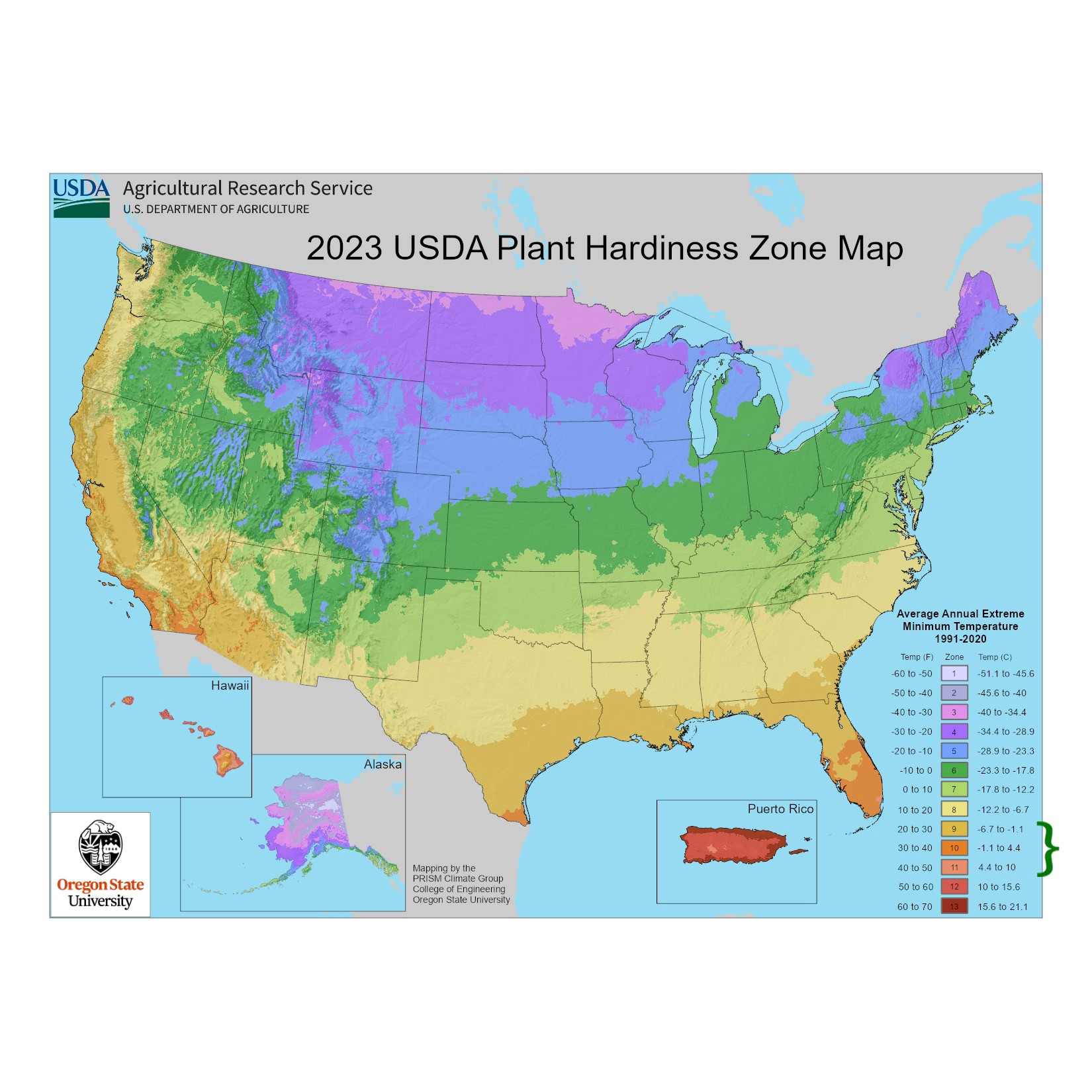 slide 4 of 4, Lowe's Kinberly Queen Fern Accent Shrub in 1.72 -Gallon Planter 1 -Pack, 1 ct