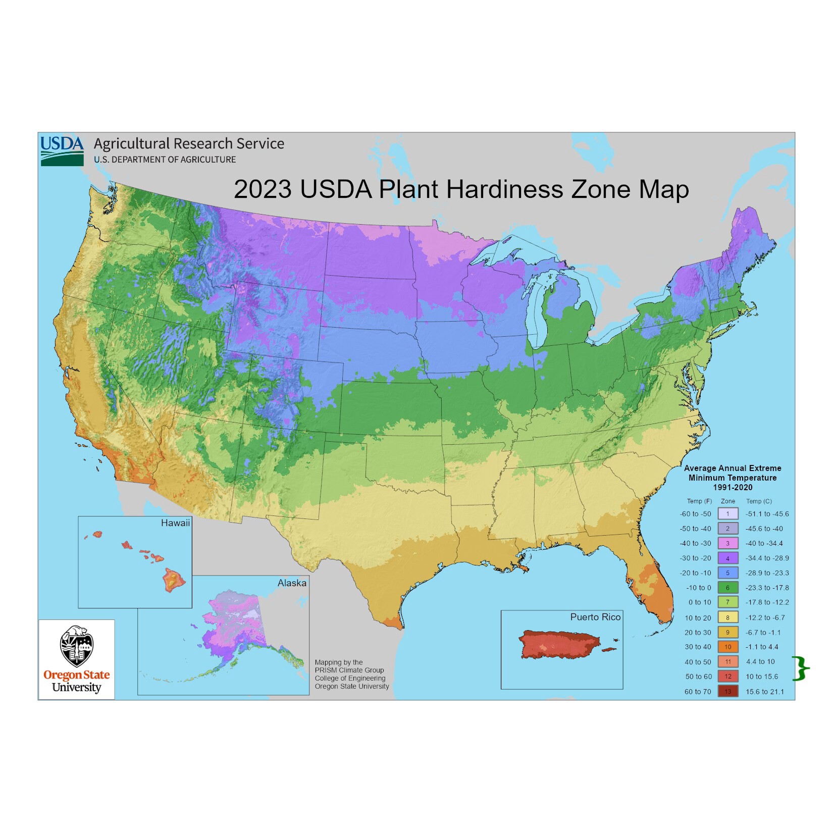 slide 4 of 4, Lowe's Jade Plant Feature Shrub in 2.5 -Quart Pot 1 -Pack with Multicolor Blooms, 1 ct