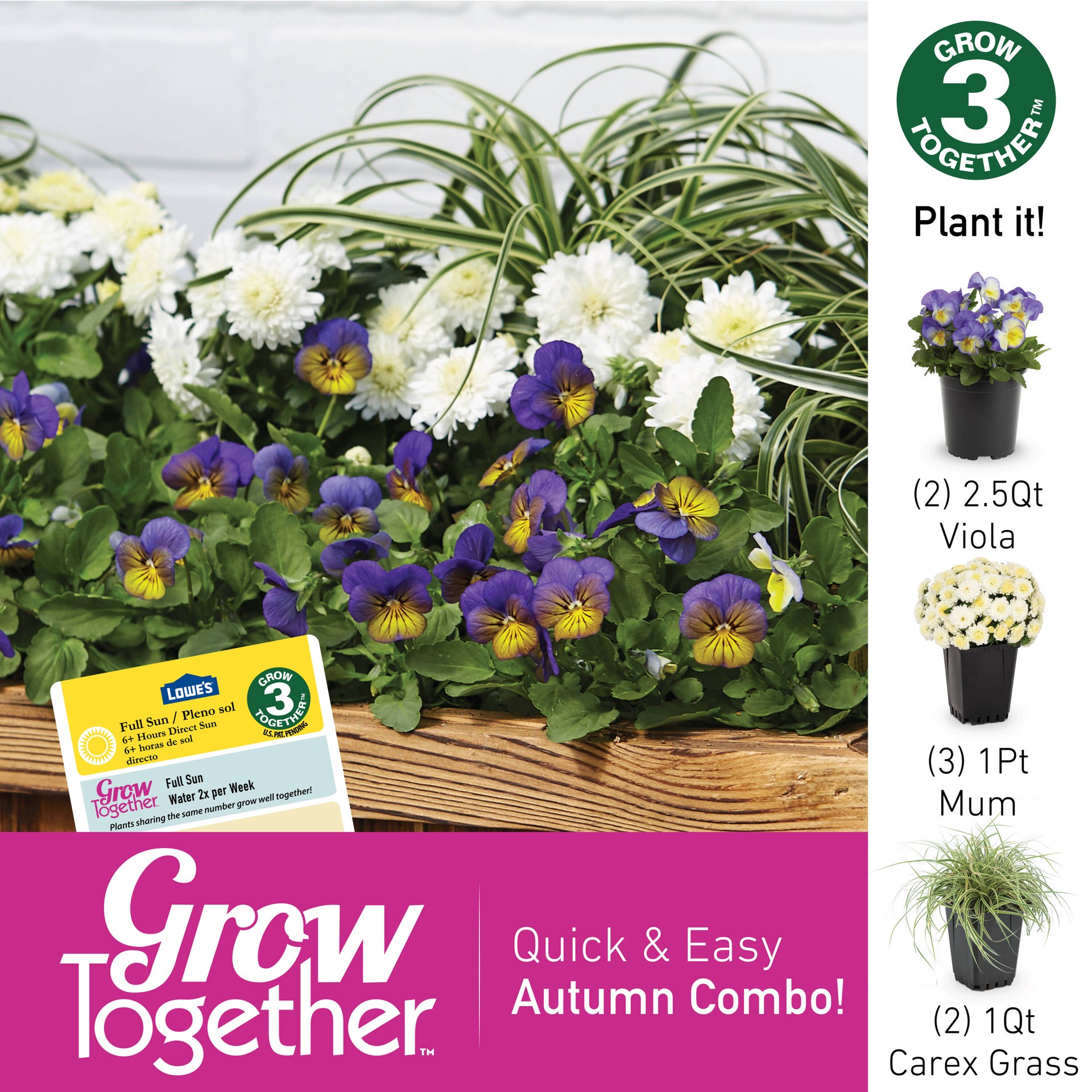 slide 5 of 6, Lowe's Multicolor Viola in 2.5-Quart Pot, 1 ct