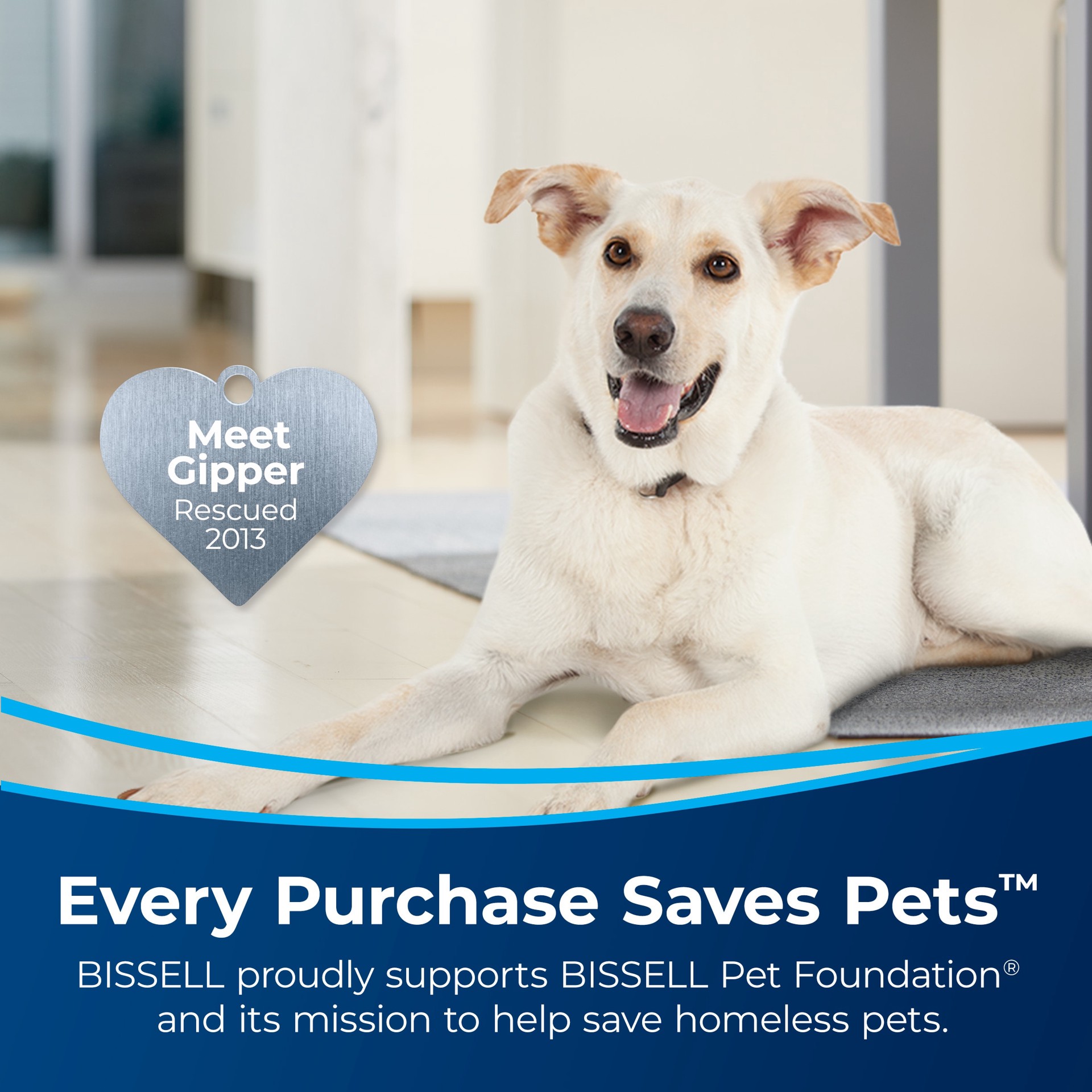slide 2 of 6, BISSELL OxyClean + Refresh with Febreze 60 -oz Concentrated Steam Cleaner Chemical Solution, 1 ct
