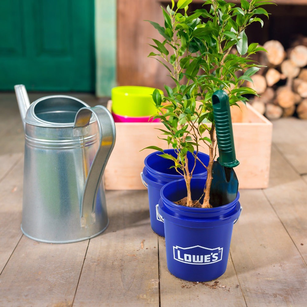 slide 4 of 6, Lowe's 0.4-quart BPA-Free Food-Grade Polypropylene Mini bucket, 1 ct