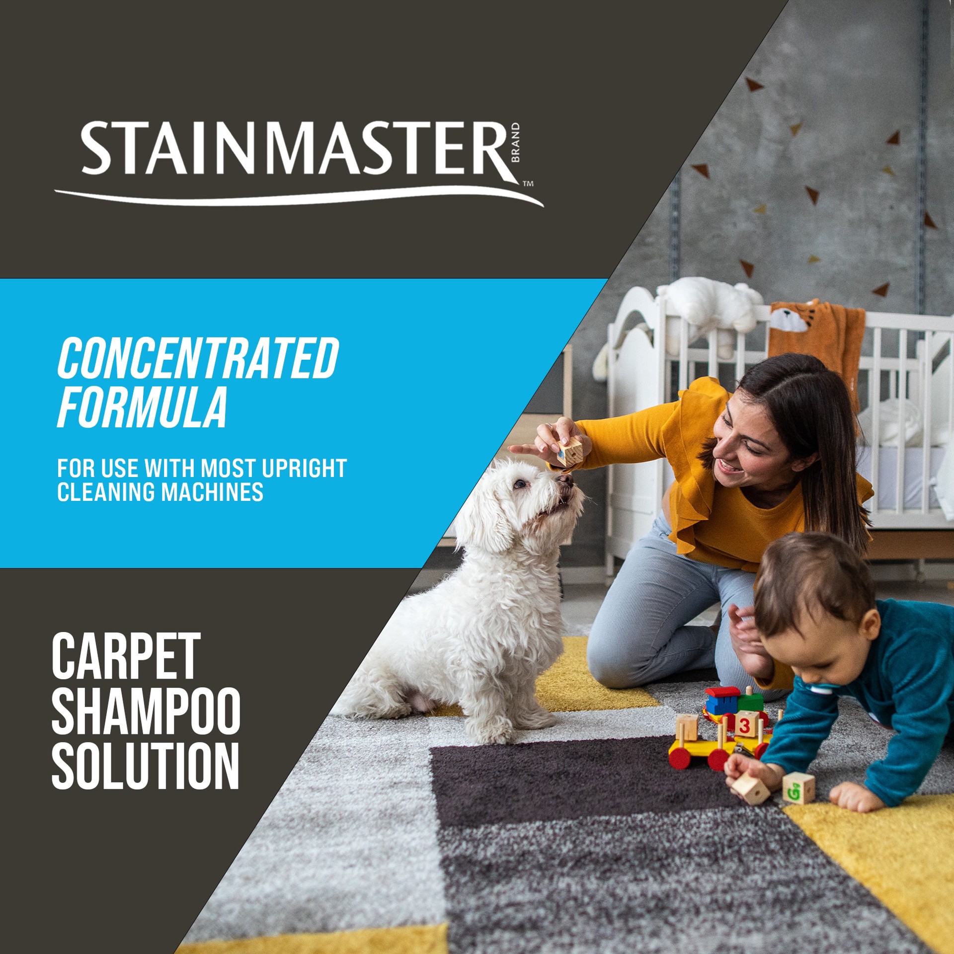 slide 2 of 6, STAINMASTER Carpet cleaner Deodorizing Liquid 128-oz, 1 ct