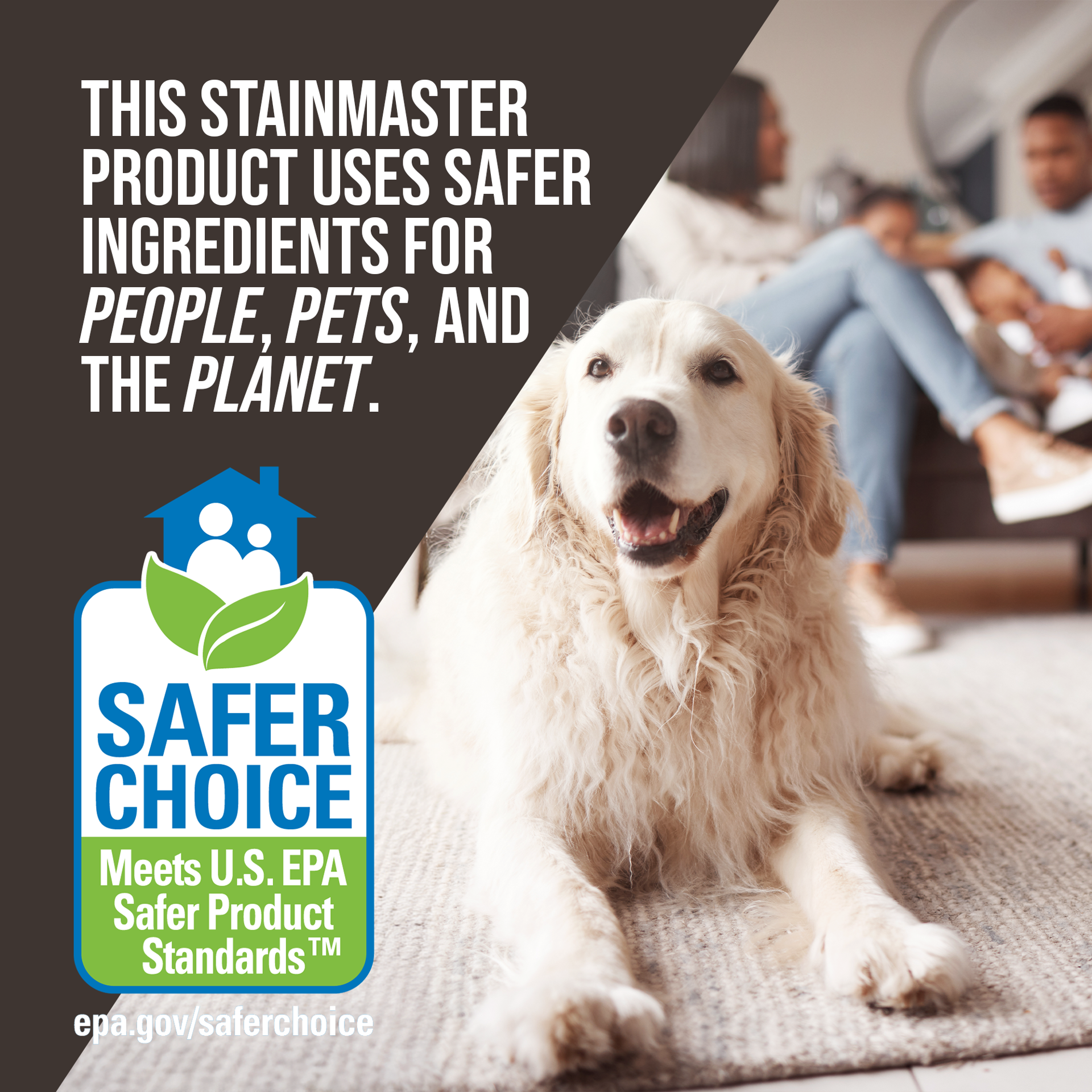 slide 4 of 6, STAINMASTER Carpet cleaner Deodorizing Liquid 128-oz, 1 ct