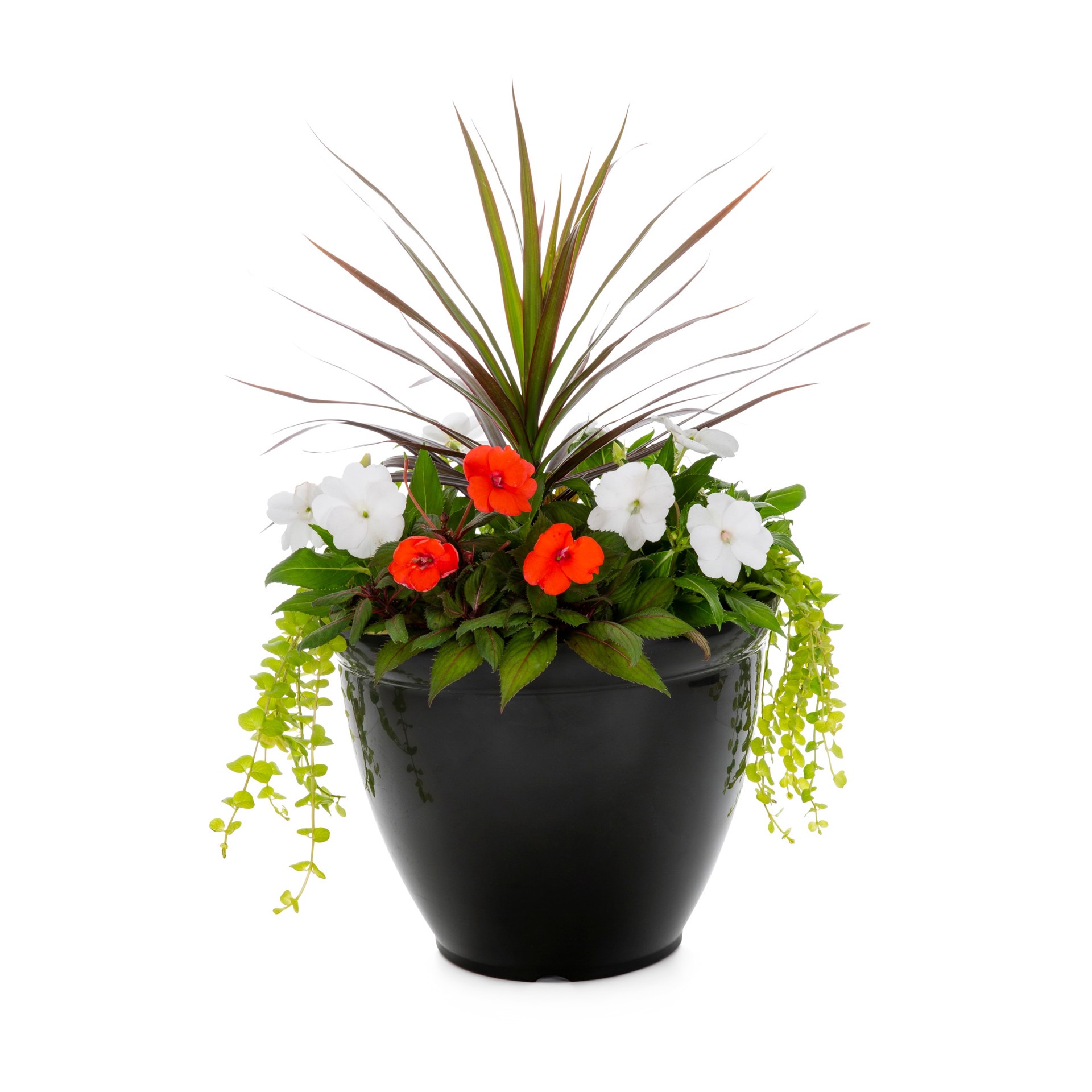 slide 1 of 2, Lowe's Multicolor SunPatiens#174 Best Friend in 3 Gallon(s) Planter, 1 ct