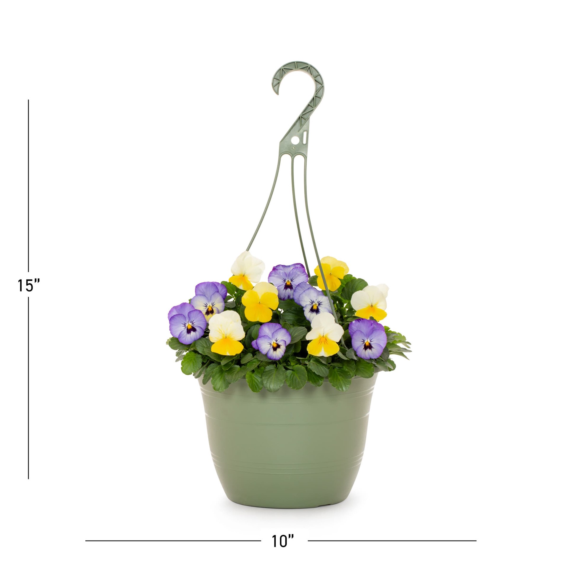slide 3 of 3, Lowe's Multicolor Viola in 1.5 Gallon(s) Hanging basket 1 -Pack, 1 ct