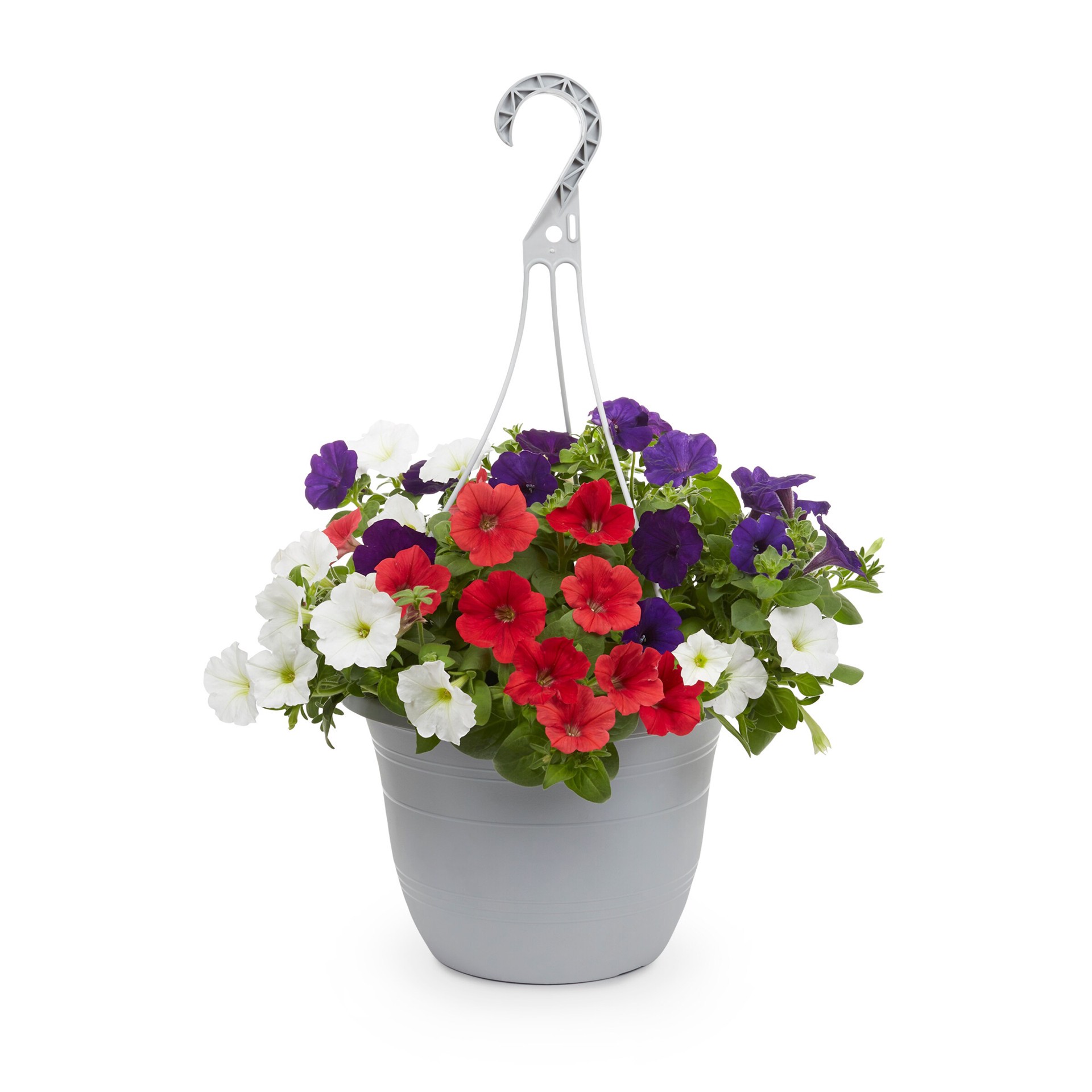 slide 1 of 5, Lowe's Multicolor Petunia in 1.5 Gallon(s) Hanging basket 1 -Pack, 1 ct