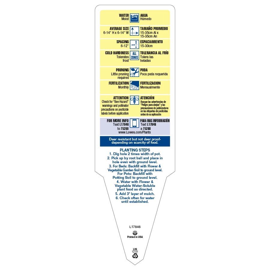 slide 3 of 6, Lowe's Multicolor Persian Buttercup in 2 Gallon(s) Planter 1 -Pack, 1 ct