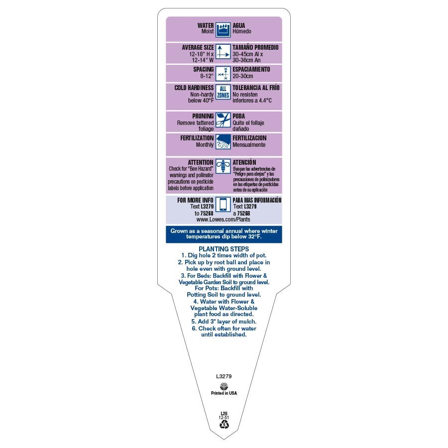 slide 3 of 6, Lowe's Multicolor Caladium in 1.75 Gallon(s) Planter 1 -Pack, 1 ct
