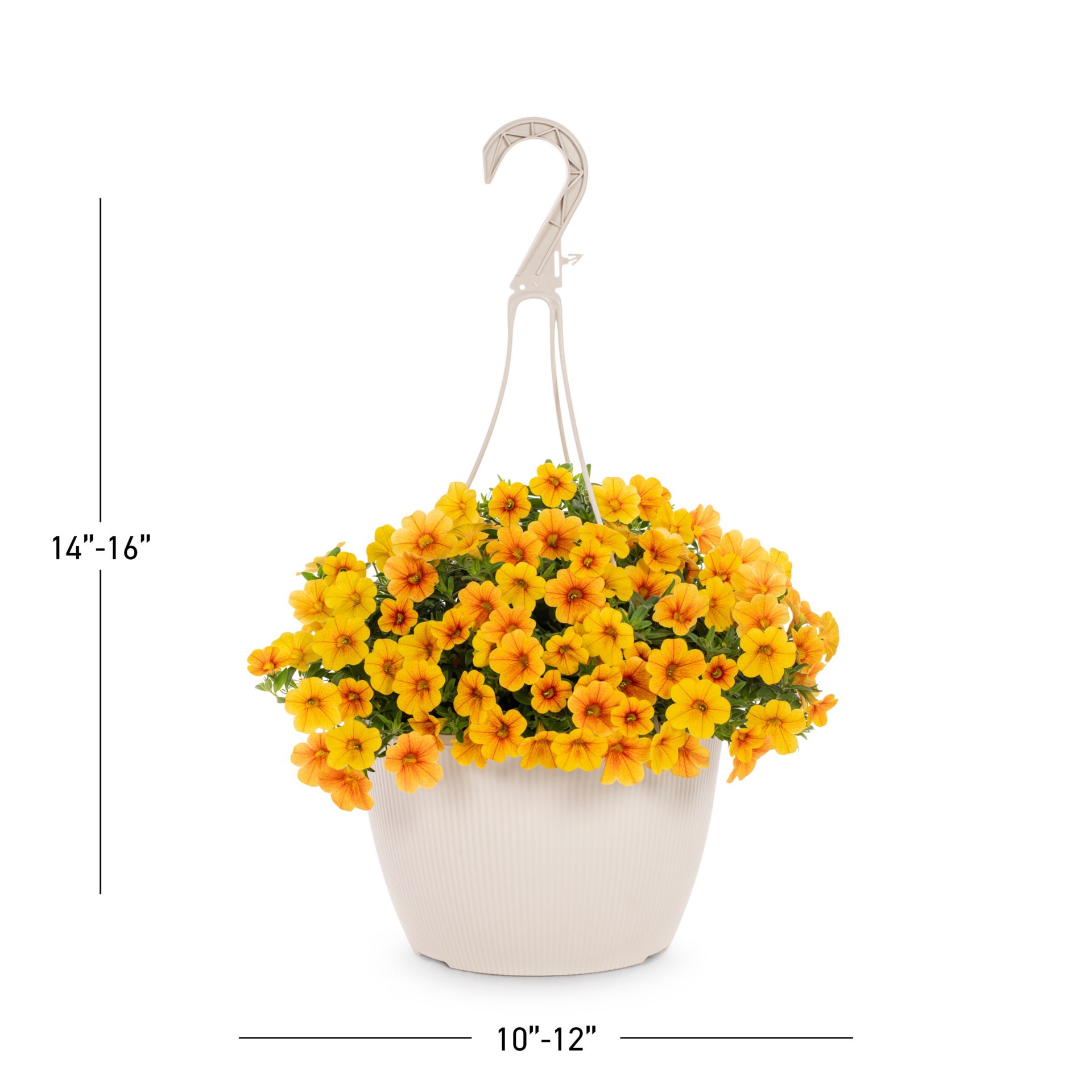 slide 3 of 6, Lowe's Multicolor Calibrachoa in 1.5 Gallon(s) Hanging basket 1 -Pack, 1 ct