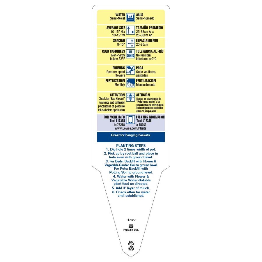 slide 3 of 5, Lowe's Multicolor Petunia Mix in 2 Gallon(s) Hanging basket 1 -Pack, 1 ct