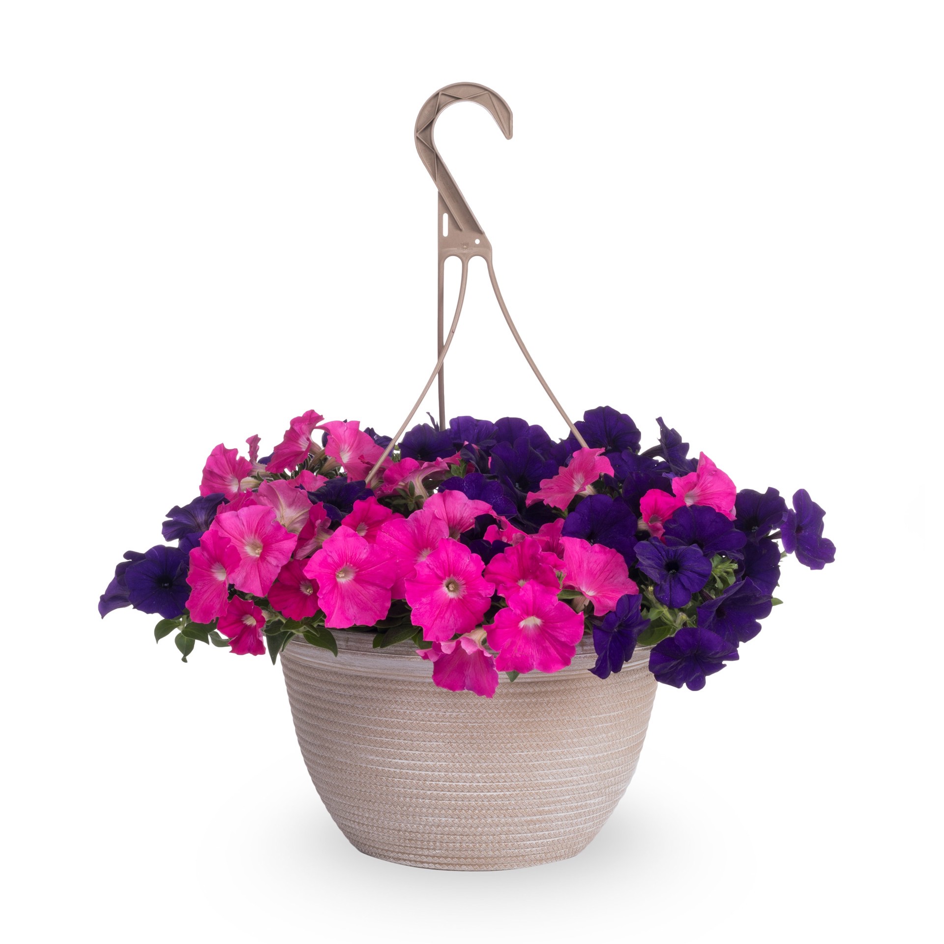 slide 1 of 5, Lowe's Multicolor Petunia Mix in 2 Gallon(s) Hanging basket 1 -Pack, 1 ct