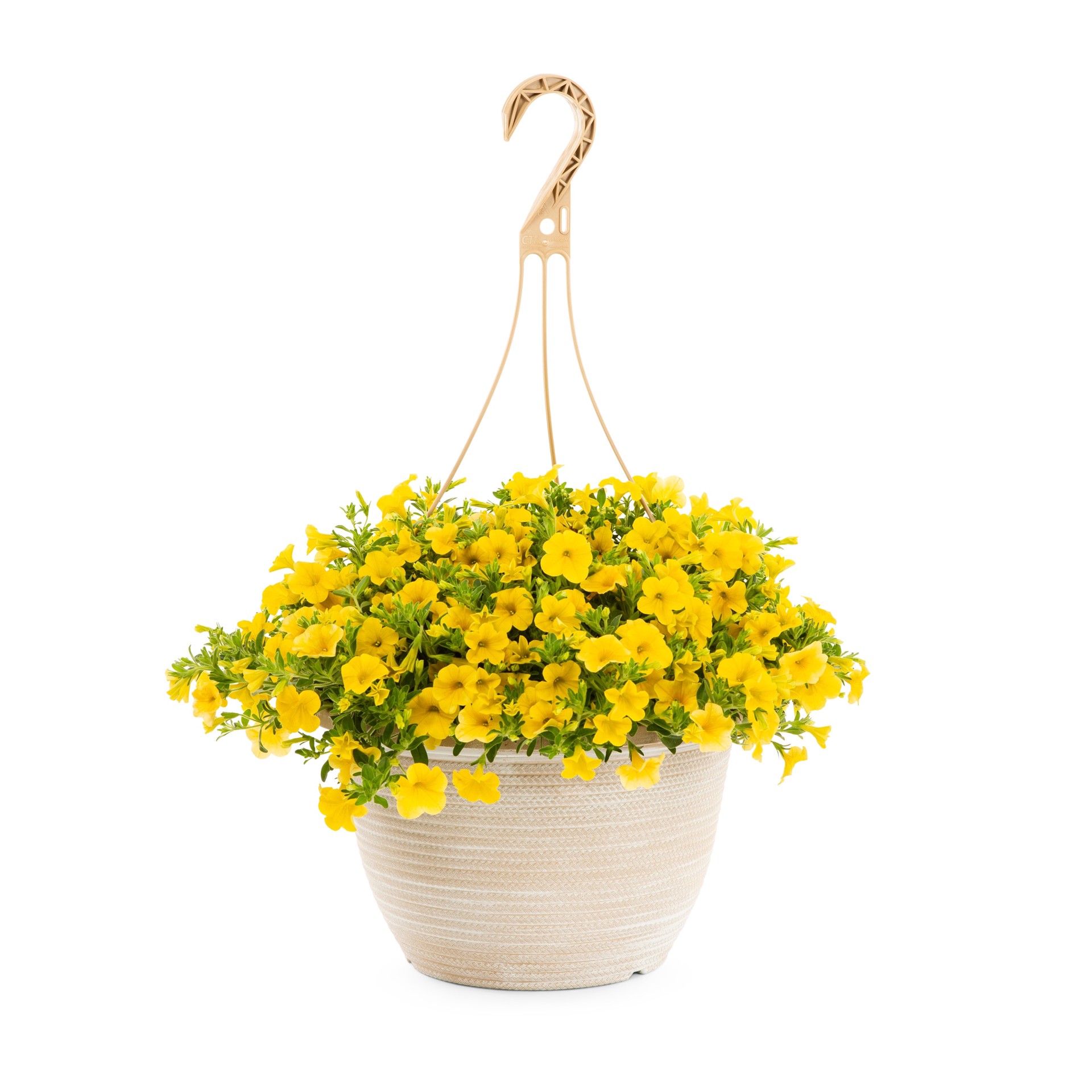 slide 5 of 6, Lowe's Multicolor Calibrachoa in 2 Gallon(s) Hanging basket 1.0 -Pack, 1 ct