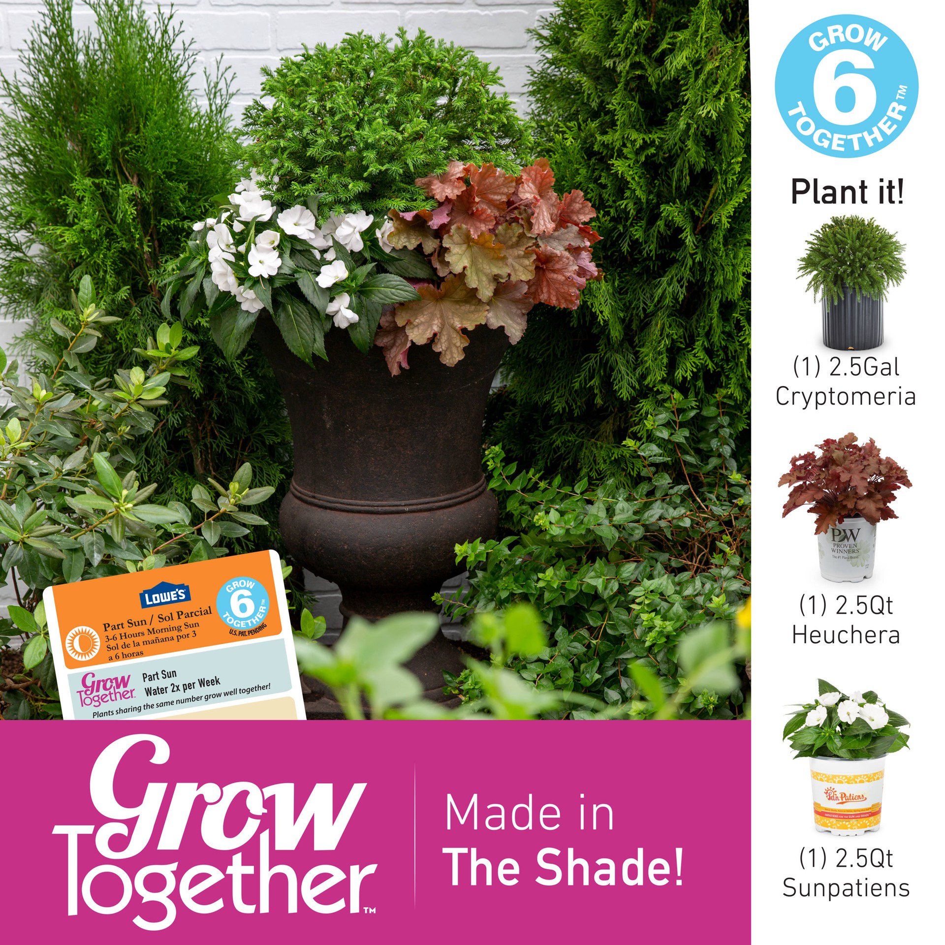 slide 4 of 5, Lowe's Multicolor New Guinea Impatiens in 1.5 Gallon(s) Hanging basket, 1 ct