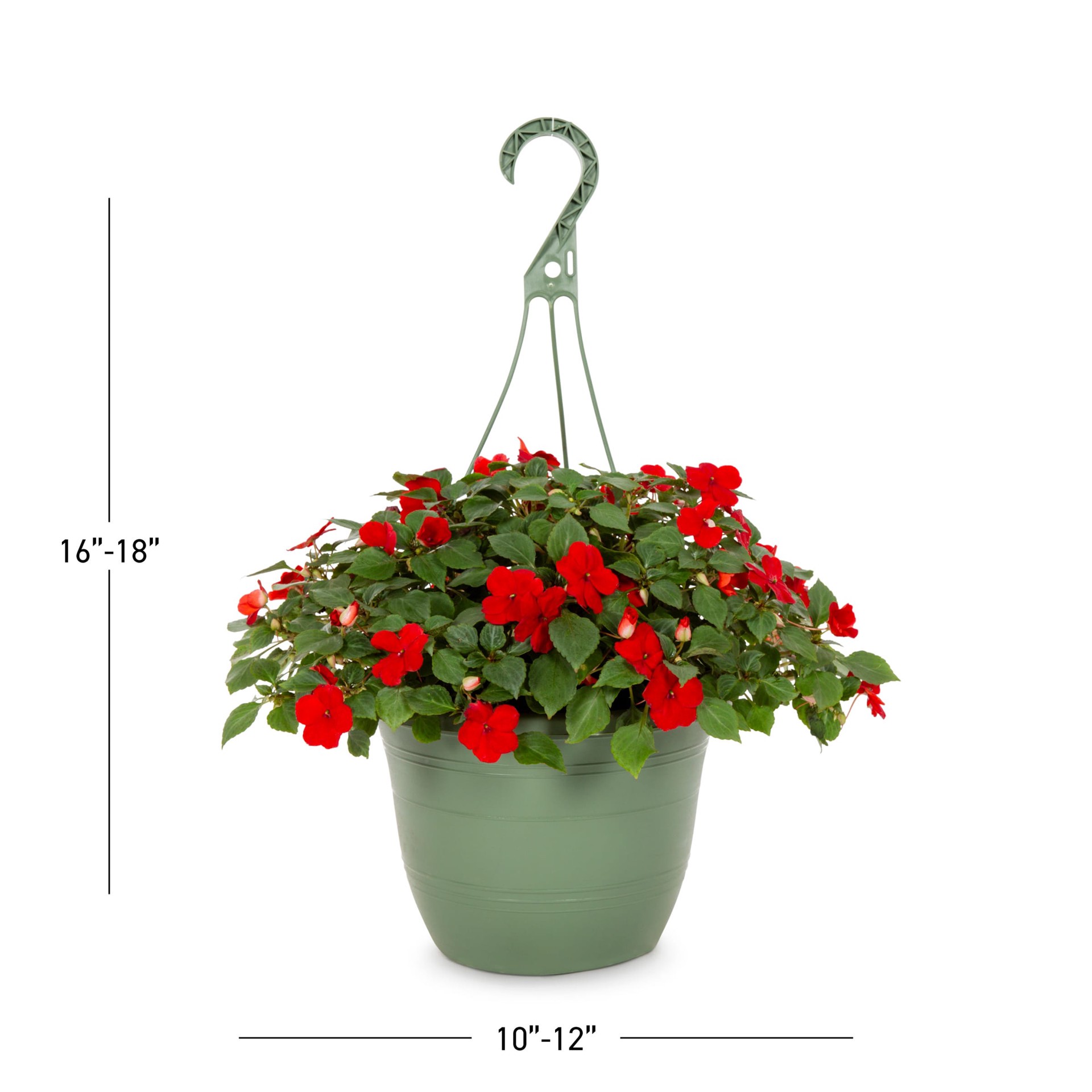 slide 3 of 5, Lowe's Multicolor Impatiens in 1.5 Gallon(s) Hanging basket 1 -Pack, 1 ct