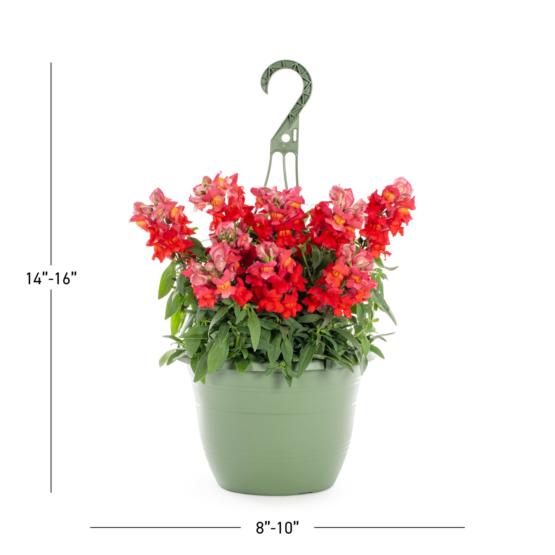 slide 3 of 5, Lowe's Multicolor Snapdragon in 1.5 Gallon(s) Hanging basket 1 -Pack, 1 ct