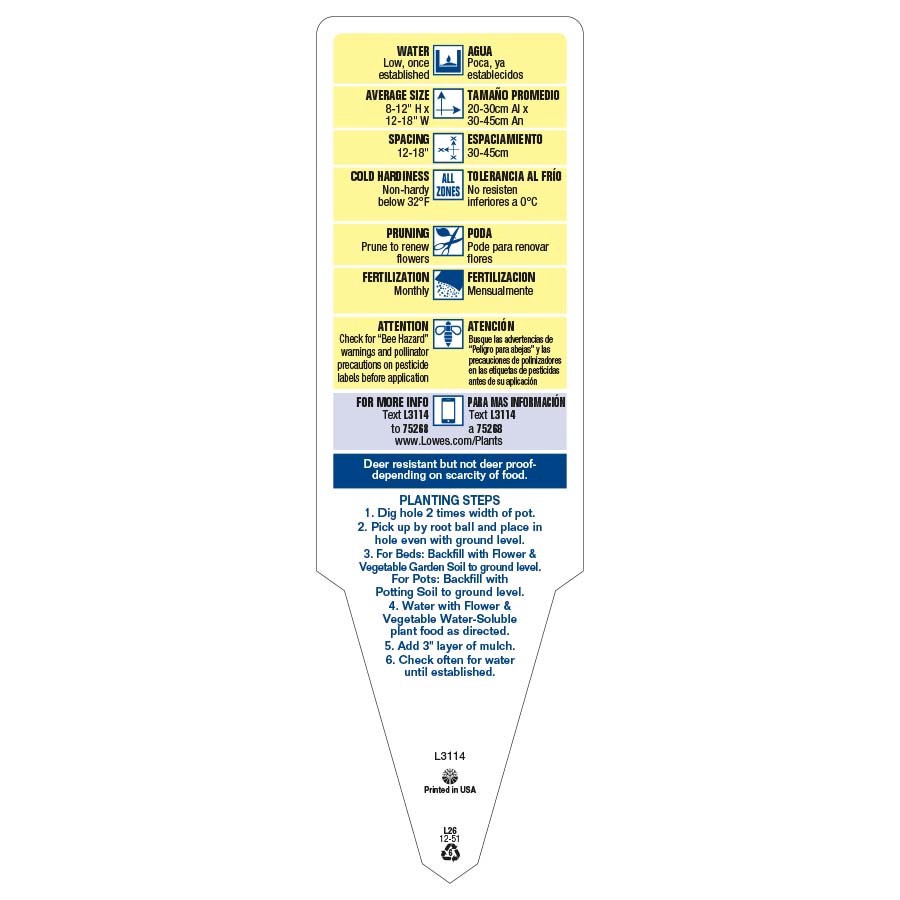 slide 3 of 6, Lowe's Multicolor Gerbera Daisy in 1.75 Gallon(s) Planter 1 -Pack, 1 ct