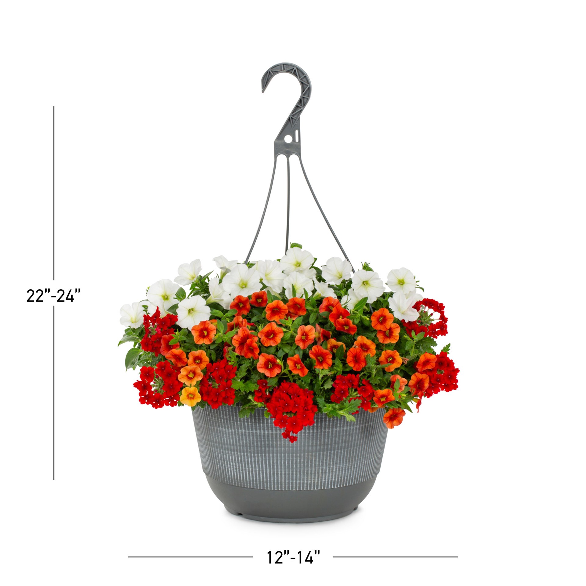 slide 3 of 3, Lowe's Multicolor Mixed Annuals Combinations in 2-Gallon Hanging Basket, 1 ct