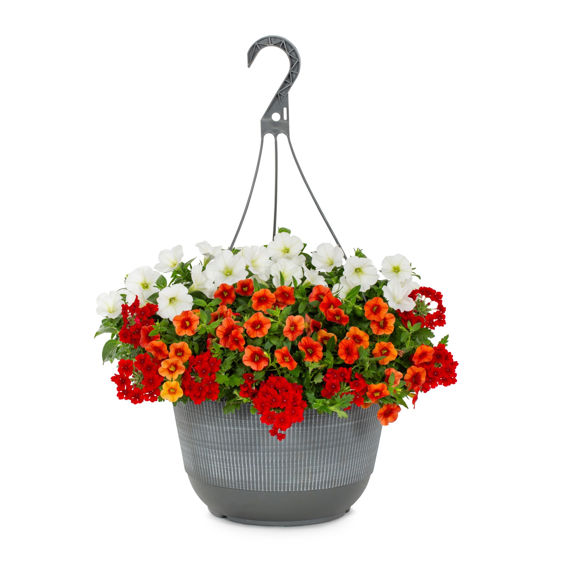 slide 1 of 3, Lowe's Multicolor Mixed Annuals Combinations in 2-Gallon Hanging Basket, 1 ct