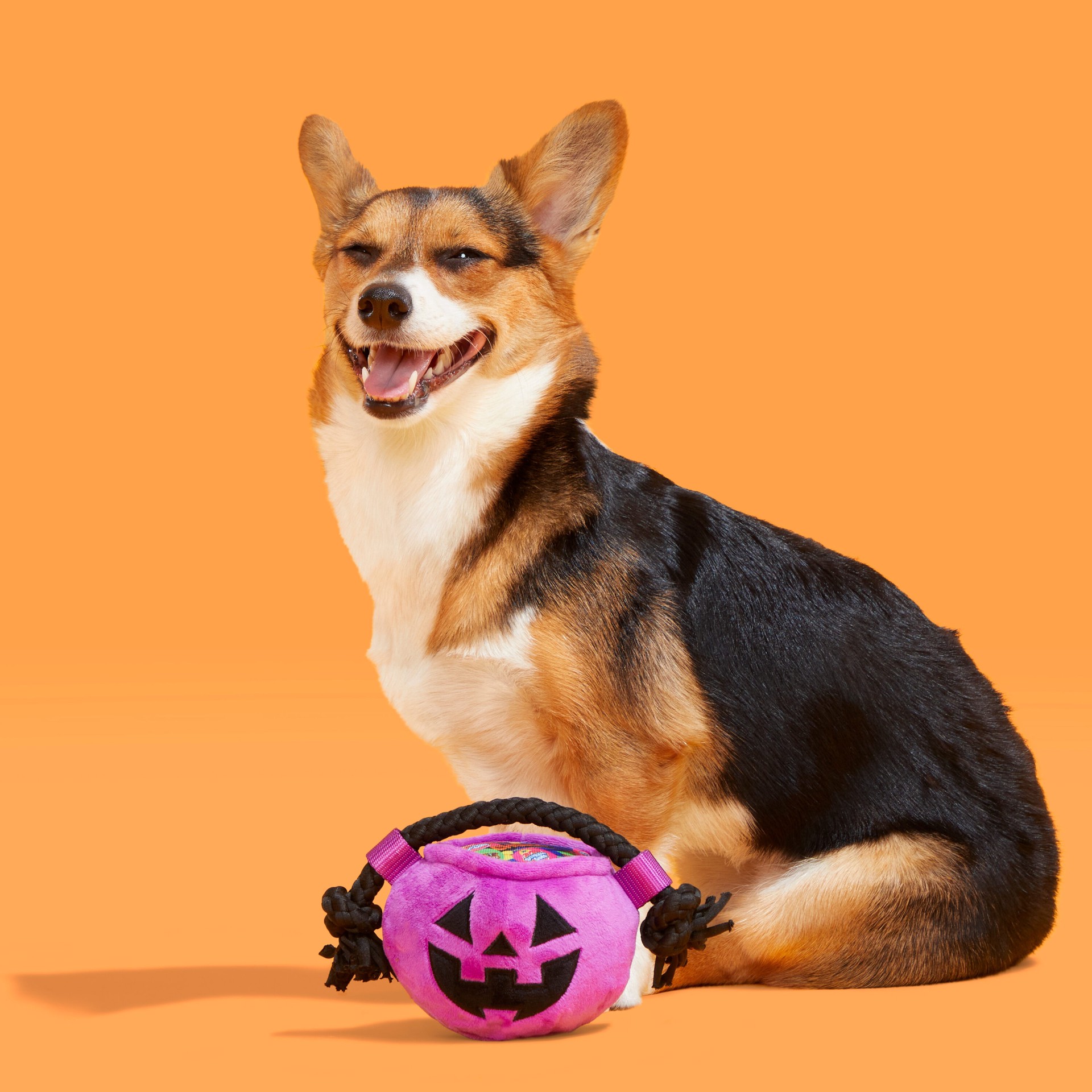 slide 5 of 6, BARK Howloween Plush Interactive Dog Toy, 1 ct