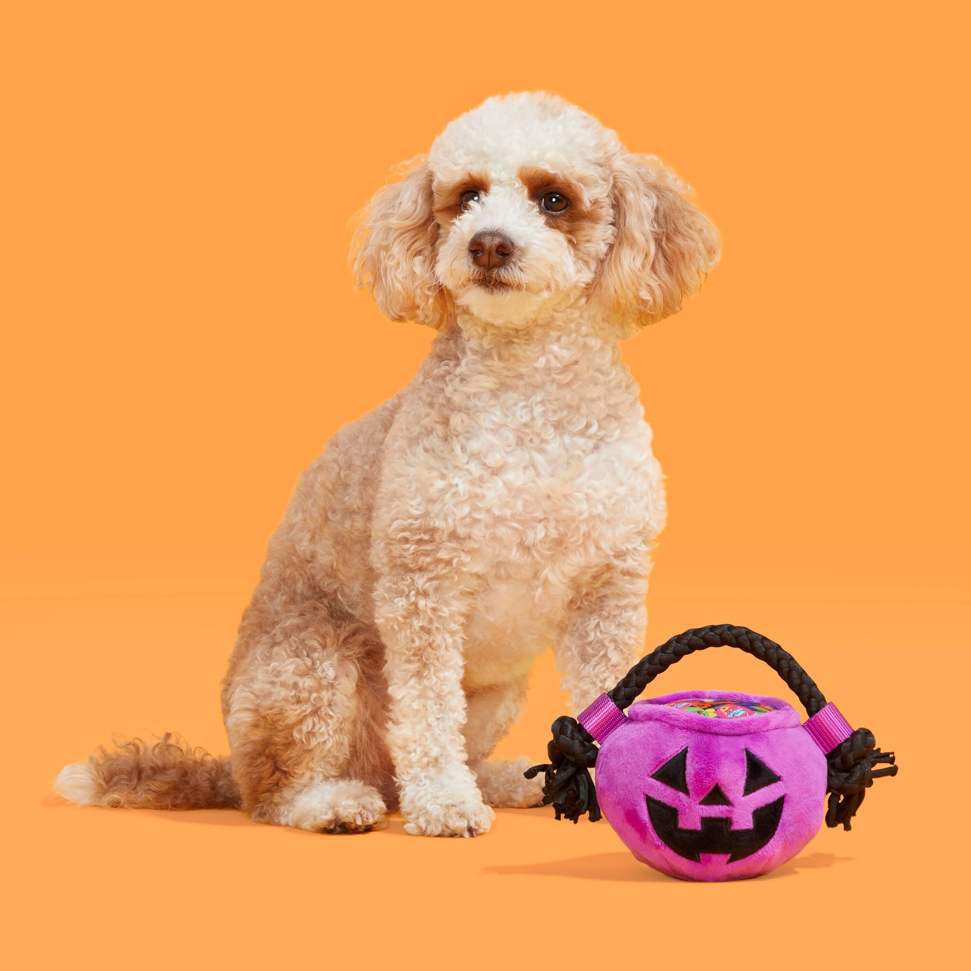 slide 6 of 6, BARK Howloween Plush Interactive Dog Toy, 1 ct