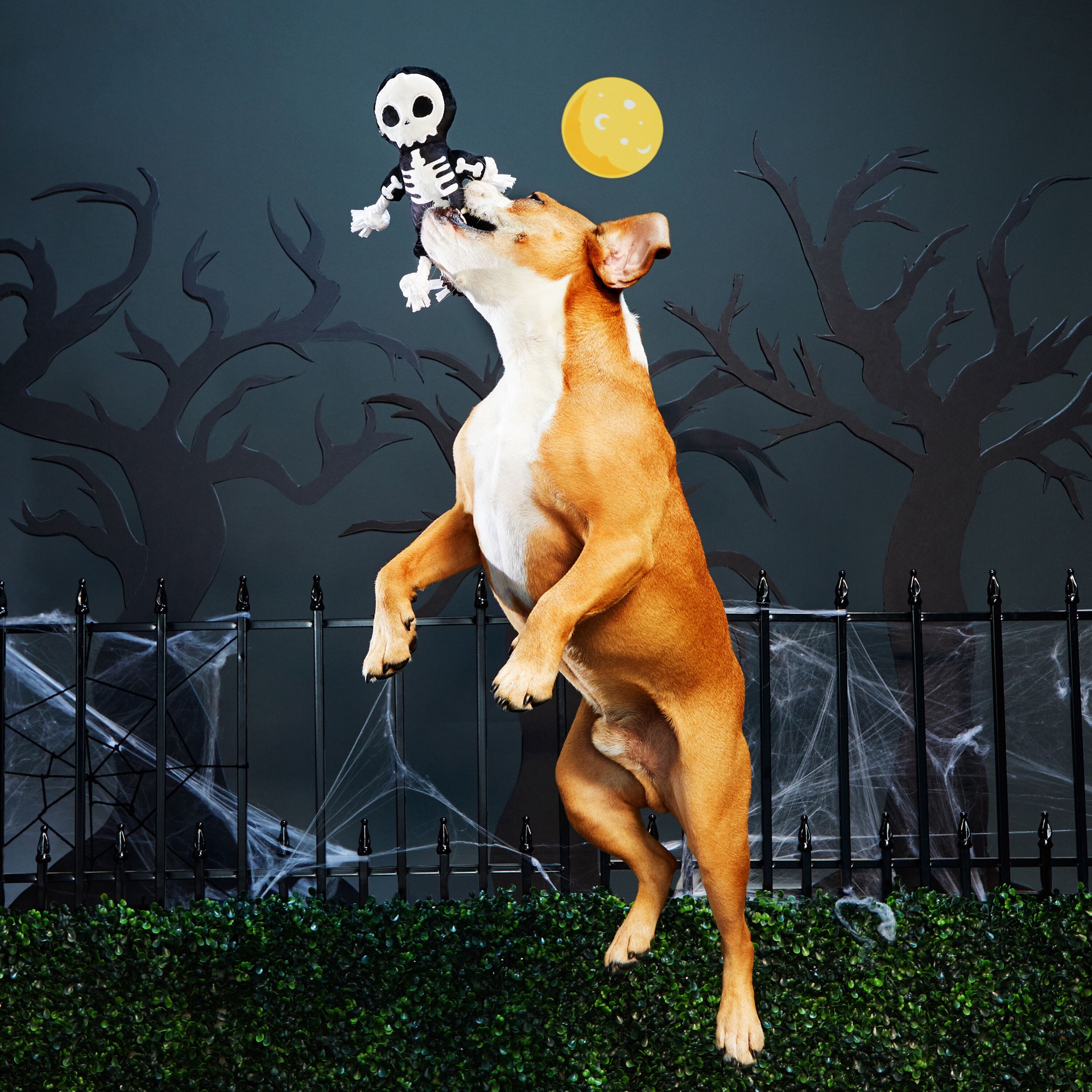 slide 5 of 6, BARK Howloween Nylon Plush Dog Toy, 1 ct