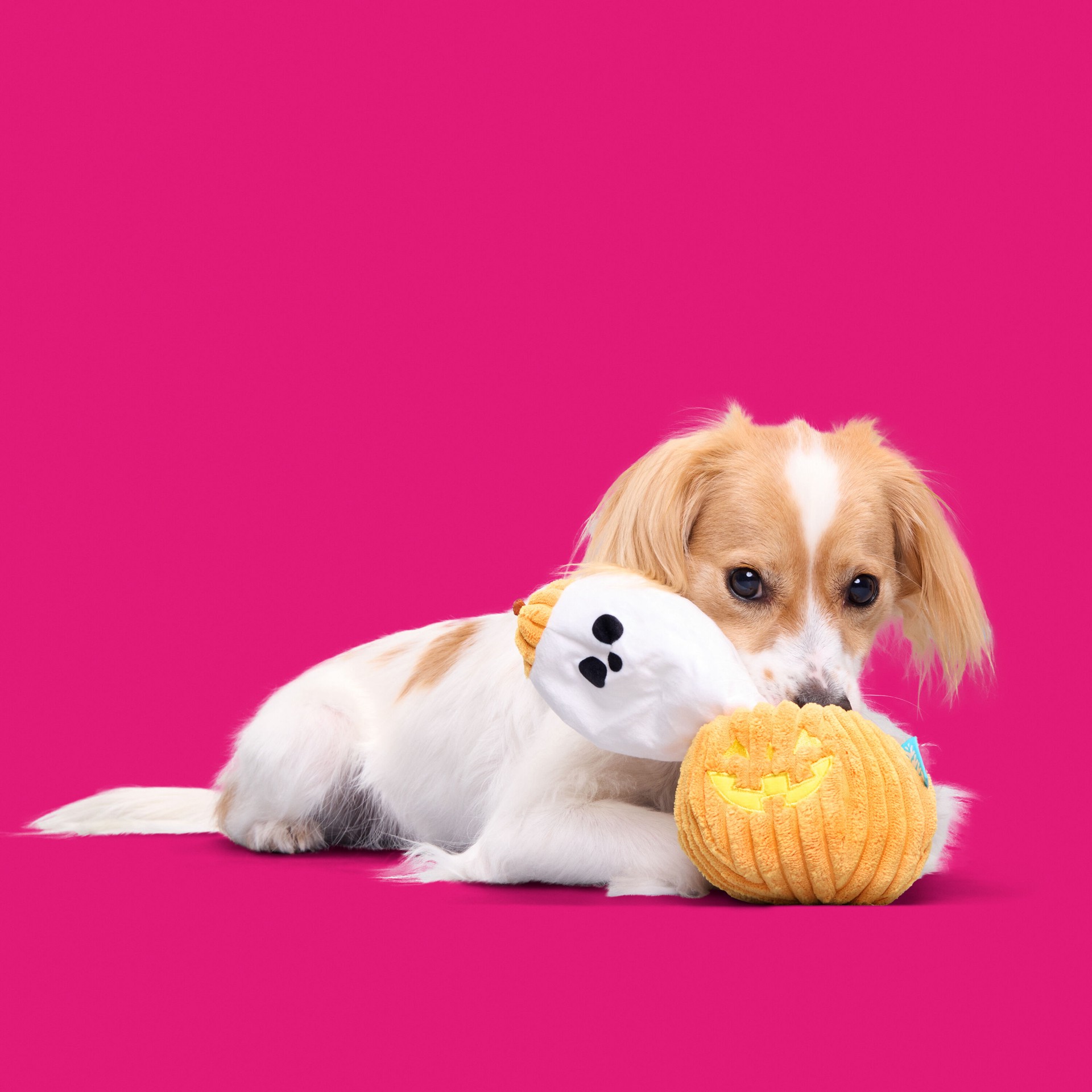 slide 3 of 6, BARK Howloween Plush Plush Dog Toy, 1 ct