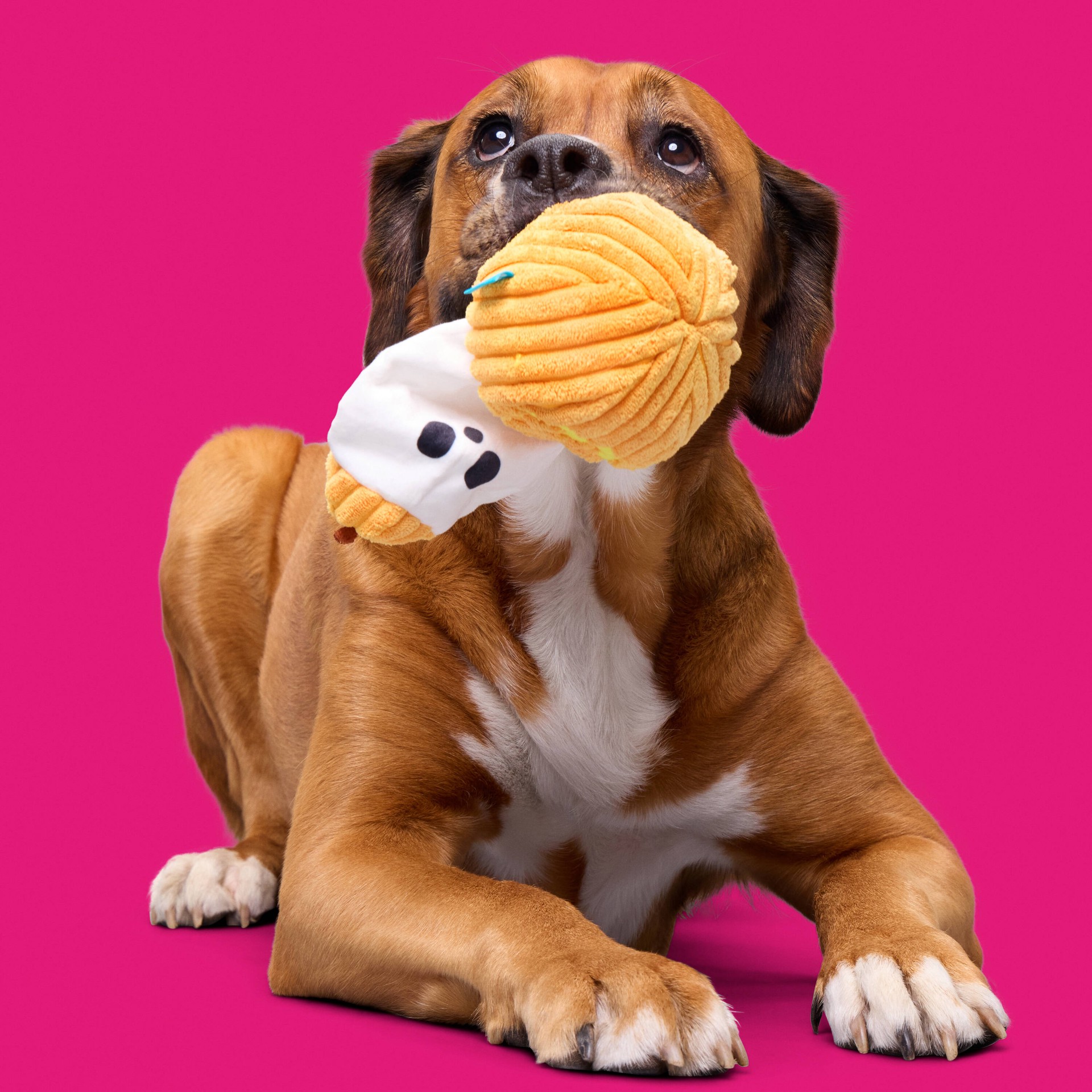 slide 5 of 6, BARK Howloween Plush Plush Dog Toy, 1 ct