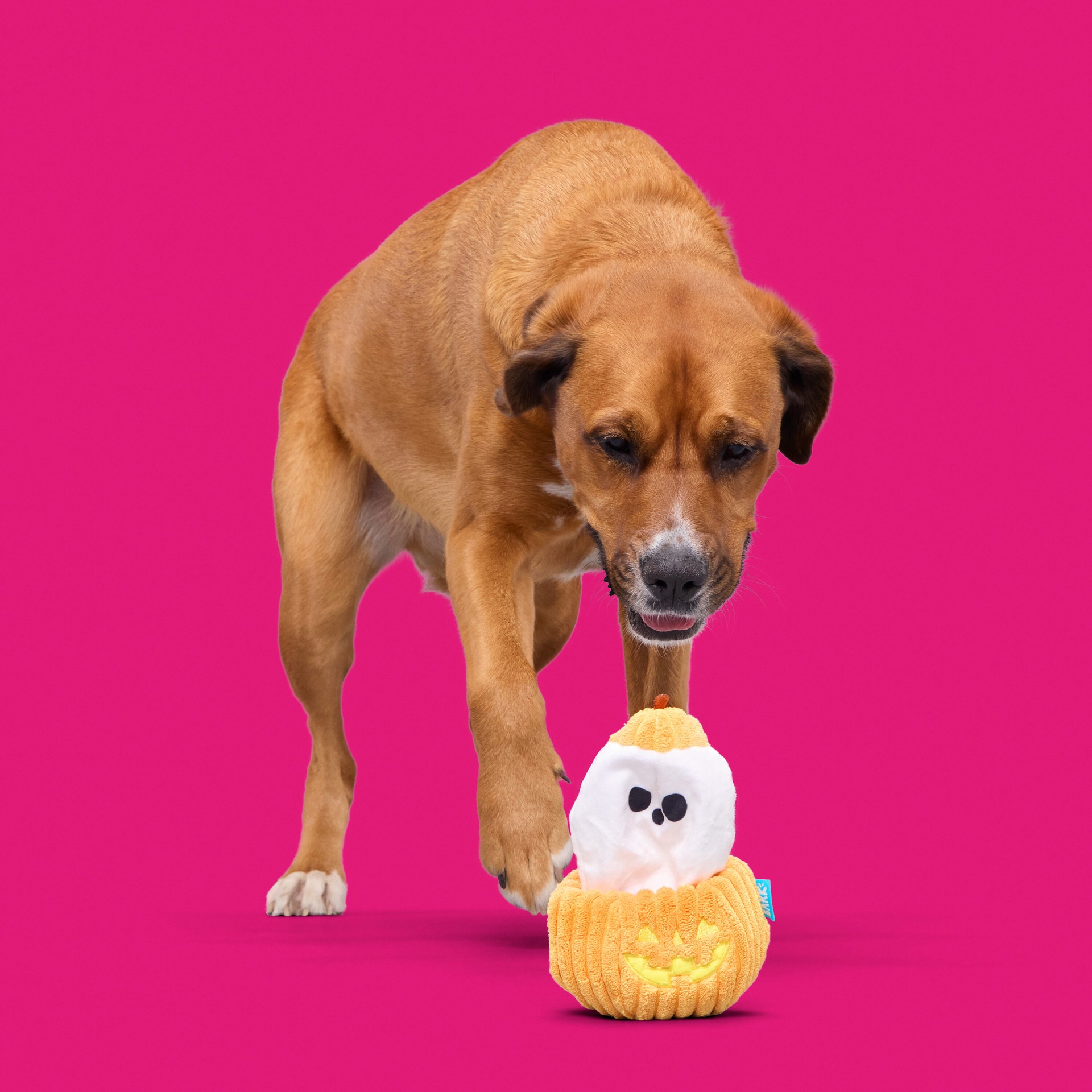 slide 6 of 6, BARK Howloween Plush Plush Dog Toy, 1 ct