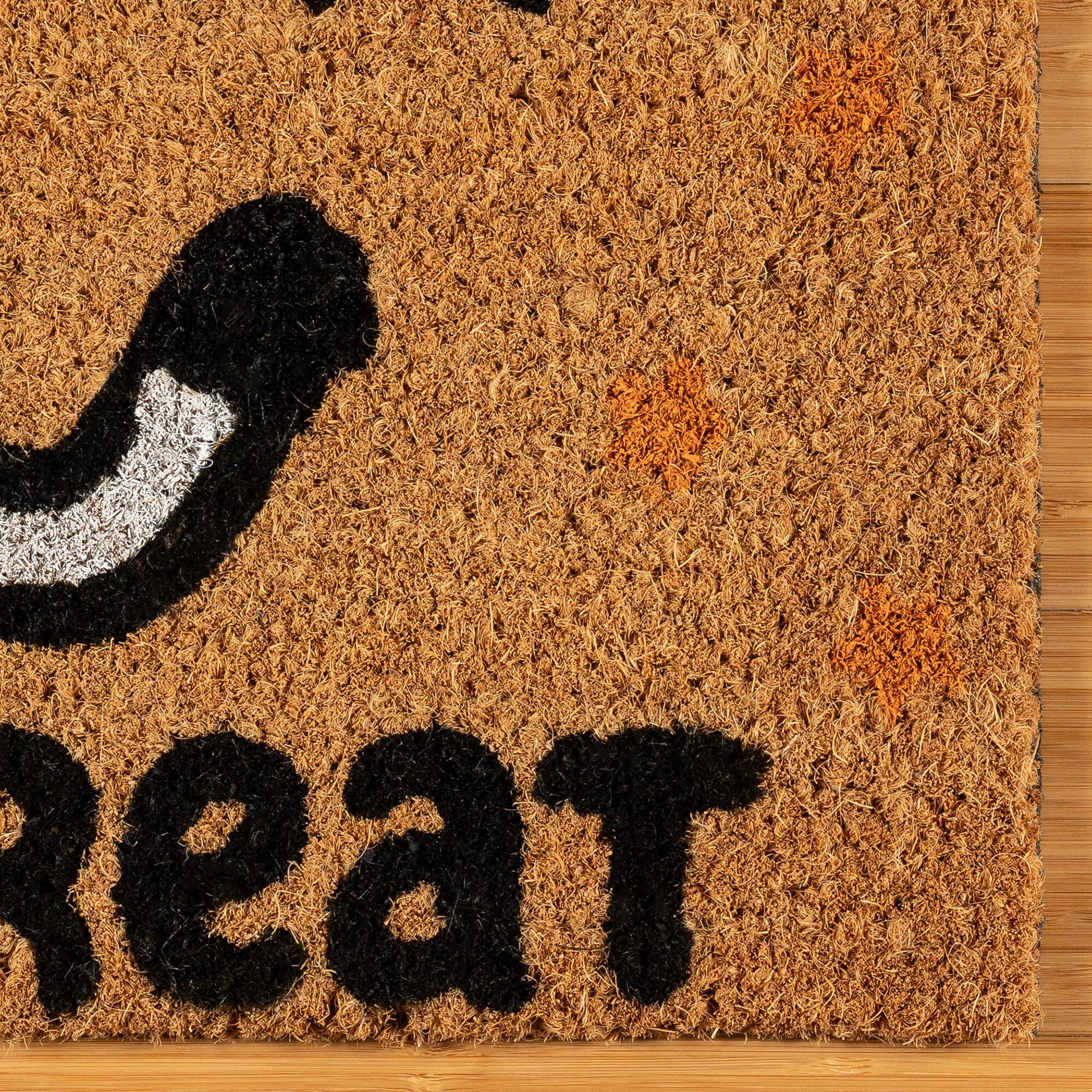 slide 5 of 6, Bluey 18-in x 30-in Multicolor Coir Non-Slip Grip Indoor or outdoor Door Mat, 1 ct