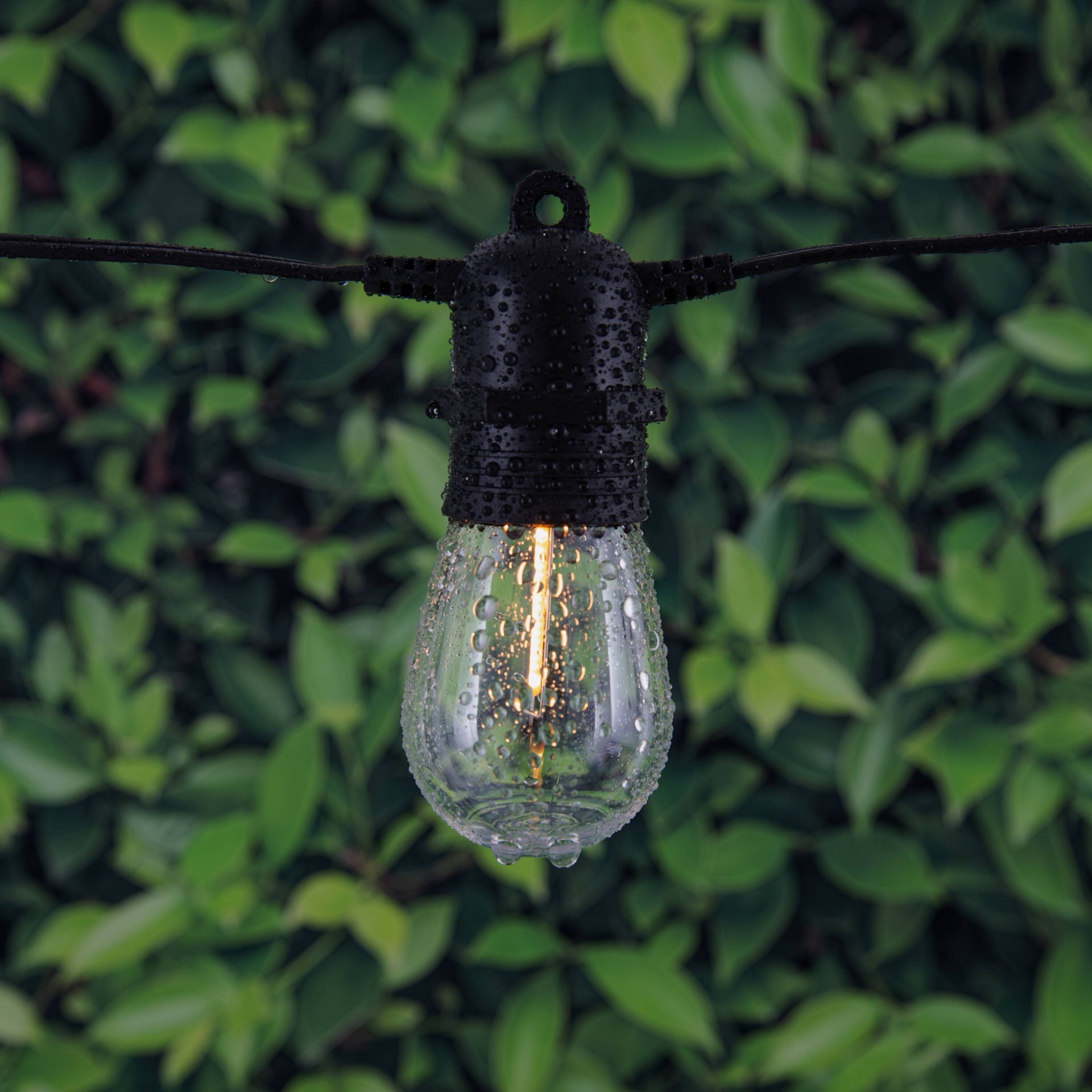 slide 2 of 6, Harbor Breeze 48-ft Plug-in Black Indoor/Outdoor String Light with 18 White -Light LED Edison Bulbs, 1 ct
