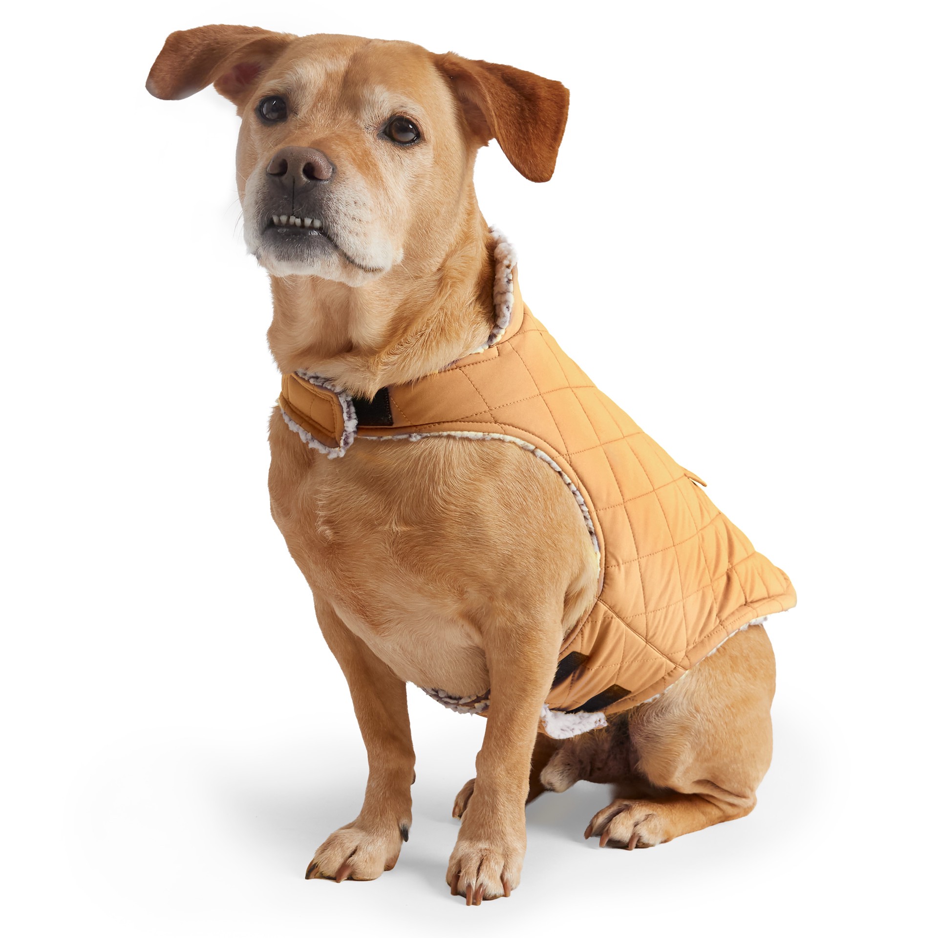 slide 5 of 5, Free Country Gold Camel Dog/Cat Pet Jacket Small, 1 ct