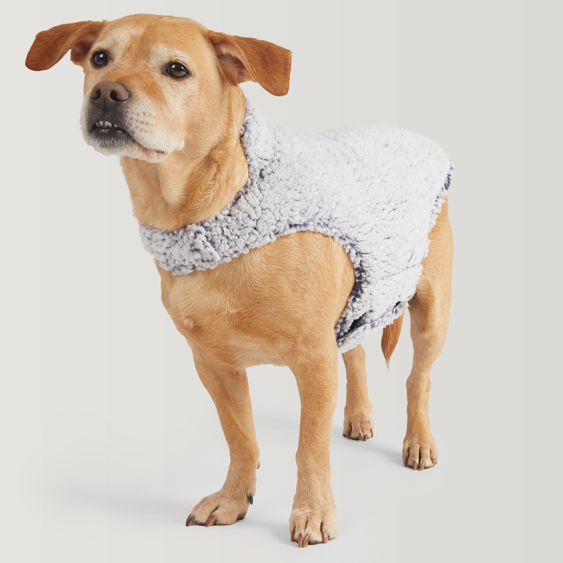 slide 4 of 5, Free Country Blue Stonewash Dog/Cat Pet Jacket Medium, 1 ct