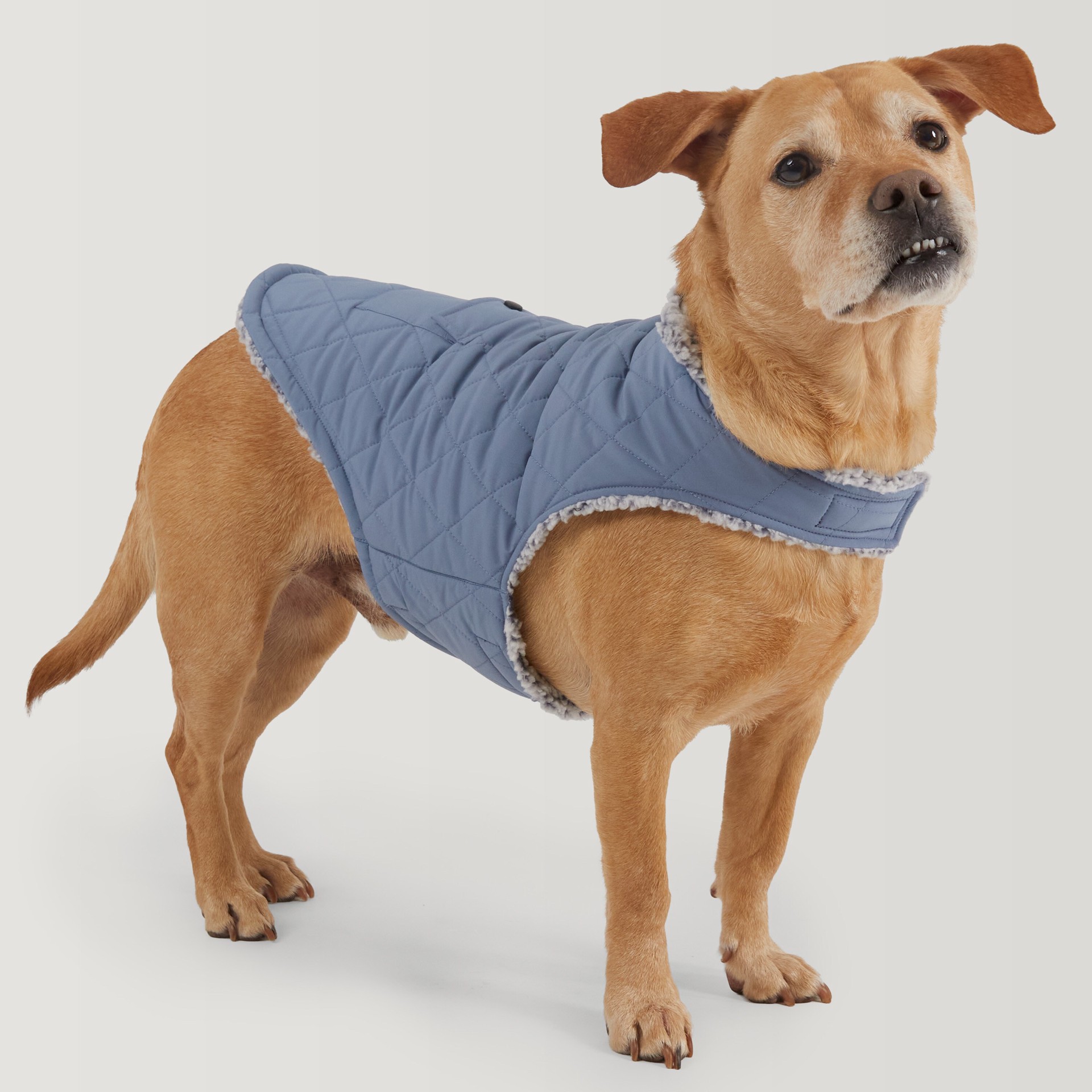 slide 5 of 5, Free Country Blue Stonewash Dog/Cat Pet Jacket Medium, 1 ct
