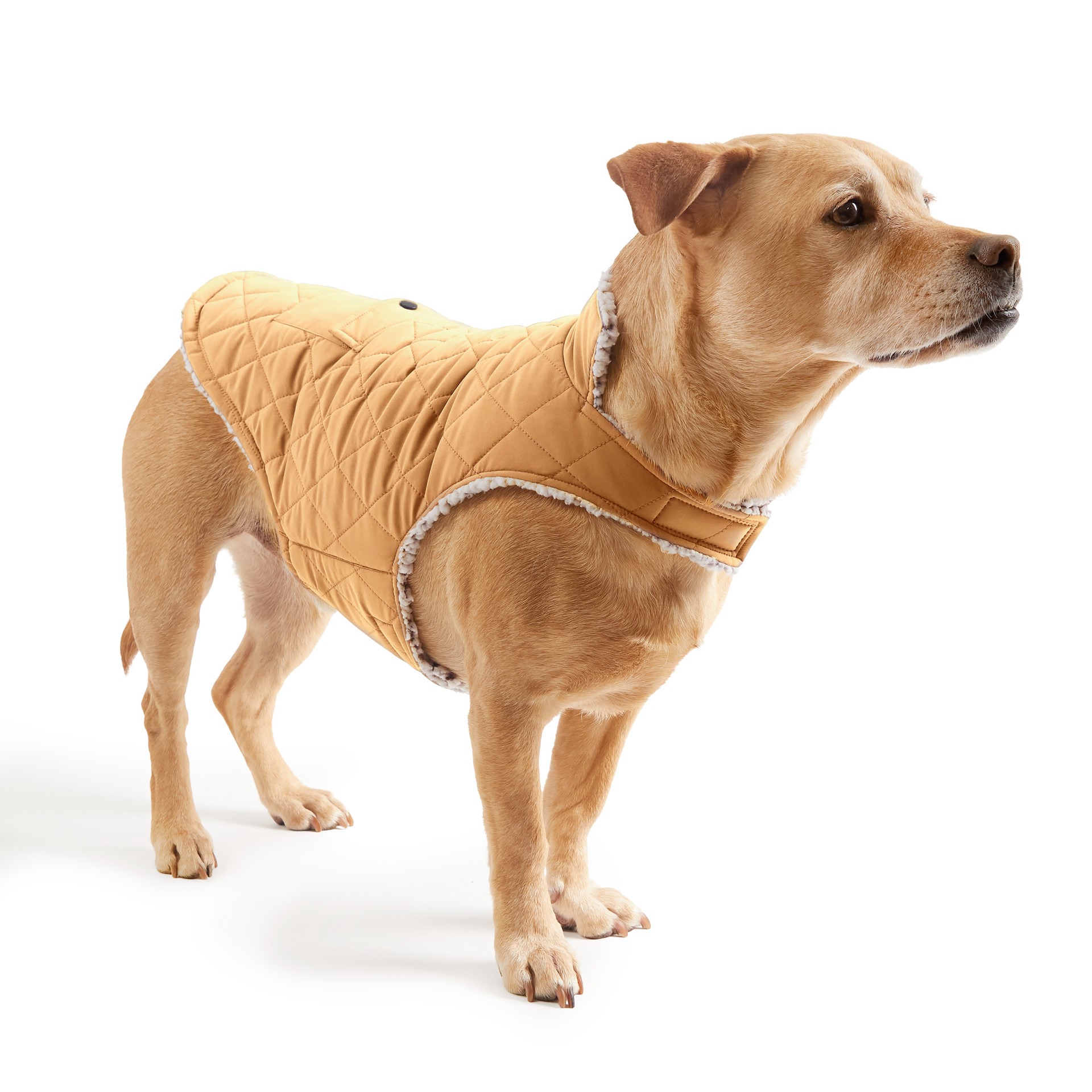 slide 3 of 5, Free Country Gold Camel Dog/Cat Pet Jacket Extra large, 1 ct