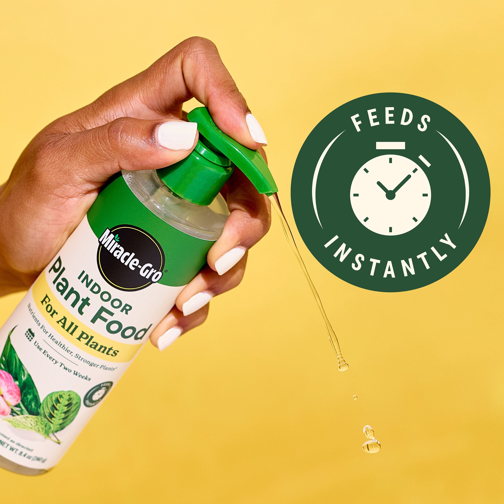 slide 3 of 6, Miracle-Gro Indoor Plant Food for All Plants 8-fl oz 1-1-1 Liquid Indoor Plant Food, 1 ct