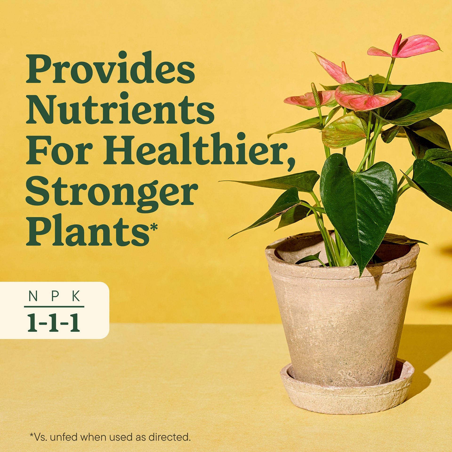 slide 4 of 6, Miracle-Gro Indoor Plant Food for All Plants 8-fl oz 1-1-1 Liquid Indoor Plant Food, 1 ct