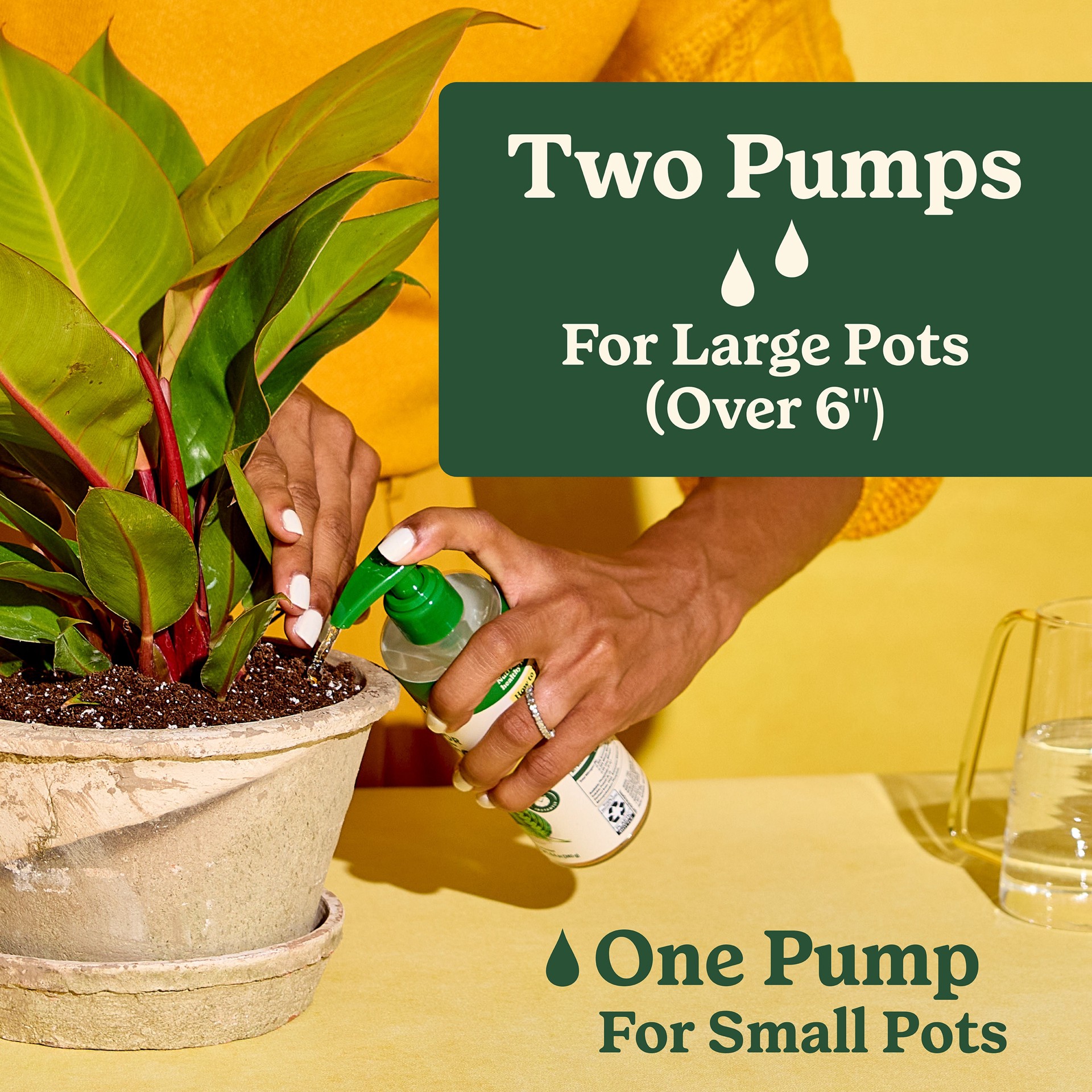 slide 5 of 6, Miracle-Gro Indoor Plant Food for All Plants 8-fl oz 1-1-1 Liquid Indoor Plant Food, 1 ct