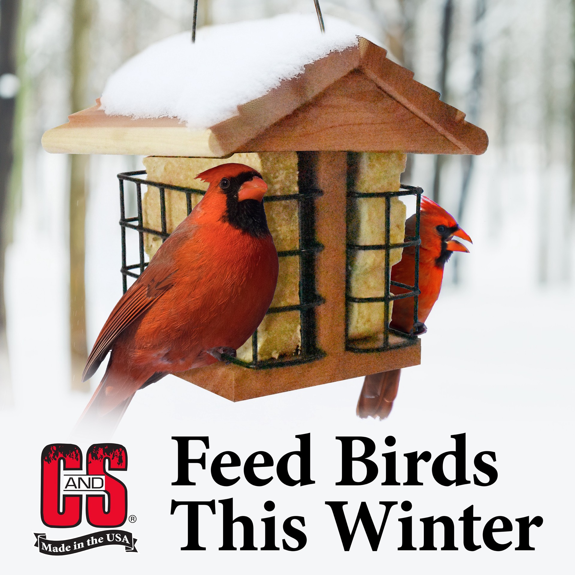 slide 2 of 6, C&S Peanut Delight Suet Cakes for Wild Birds, Value 8Pk of Bird Suet Cakes (blend) Suet 6 Pound(s), 1 ct