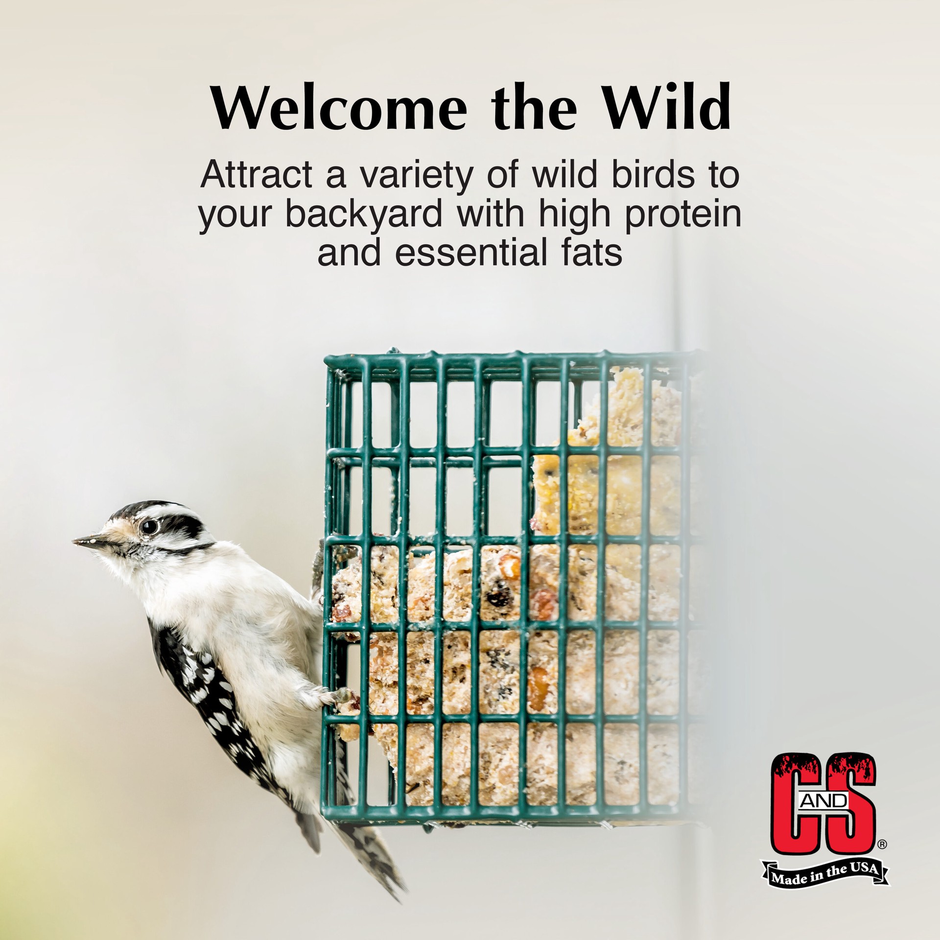 slide 3 of 6, C&S Peanut Delight (blend) Suet 6 Pound(s), 1 ct