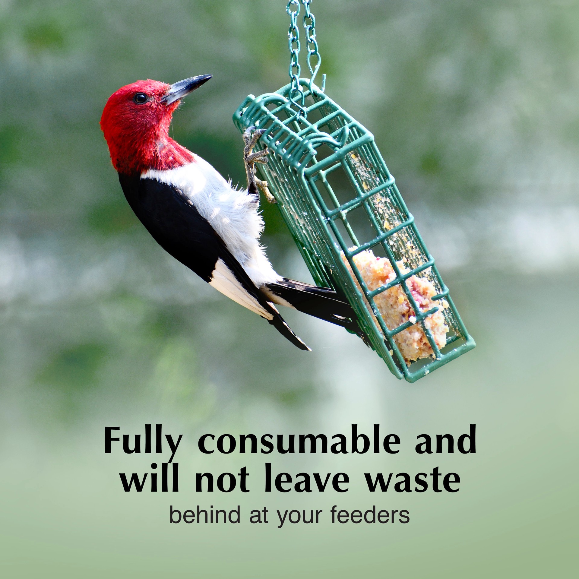 slide 4 of 6, C&S High Energy Delight Value Pack (blend) Suet 6 Pound(s), 1 ct