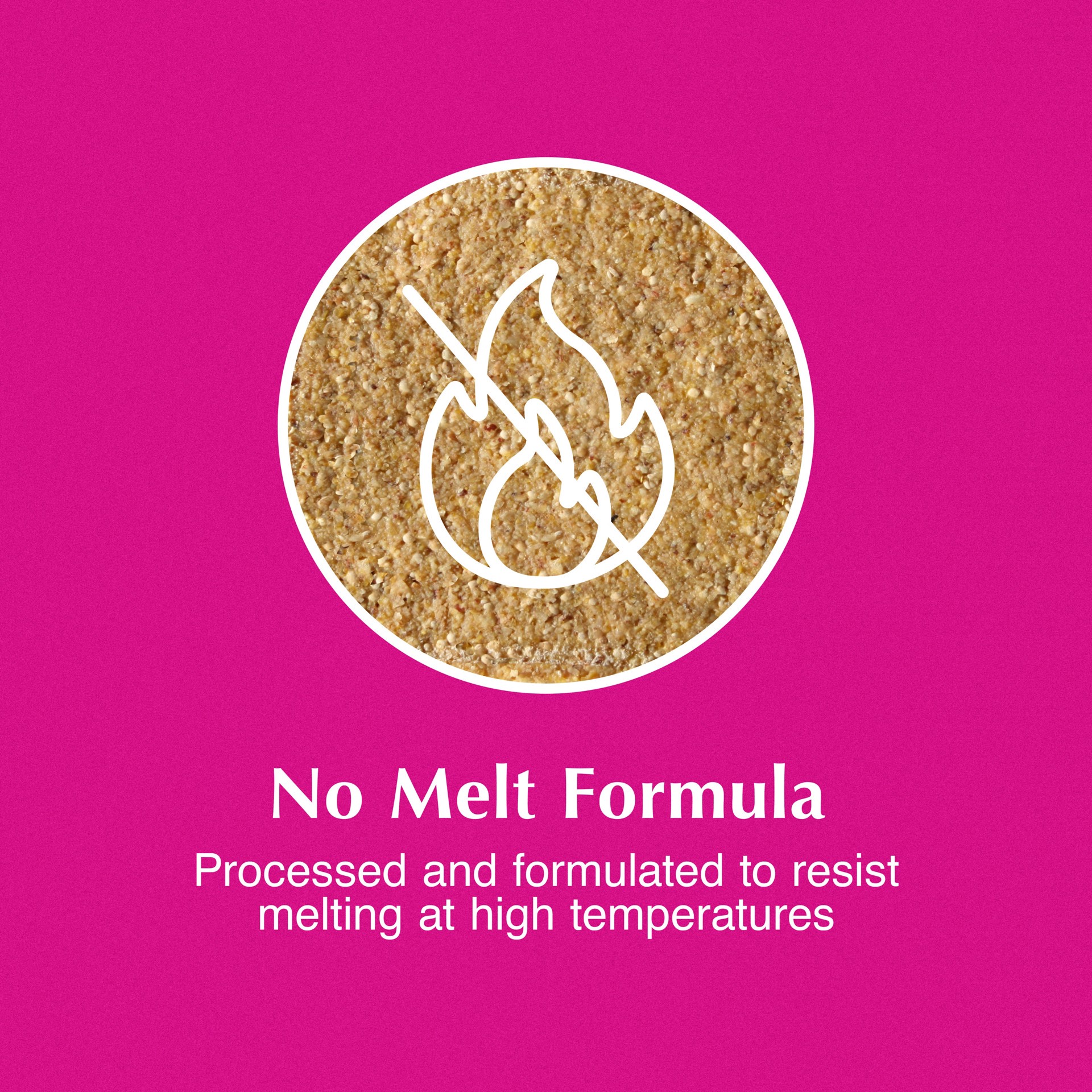 slide 5 of 6, C&S High Energy Delight Value Pack (blend) Suet 6 Pound(s), 1 ct