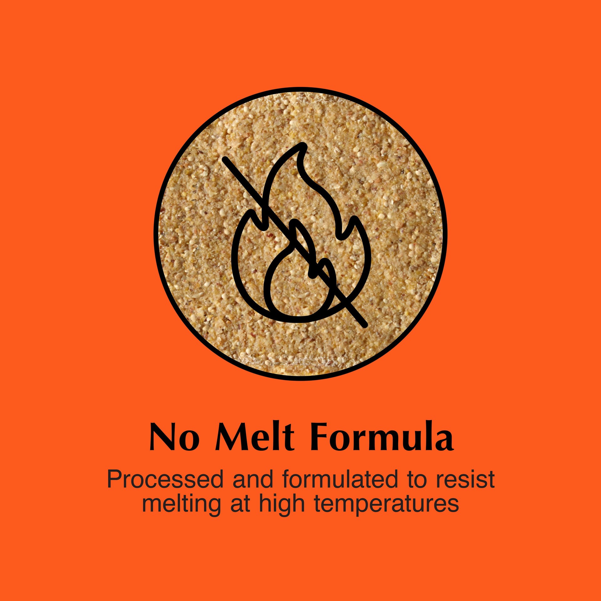 slide 5 of 6, C&S Woodpecker Dough Value Pack (blend) Suet 6 Pound(s), 1 ct