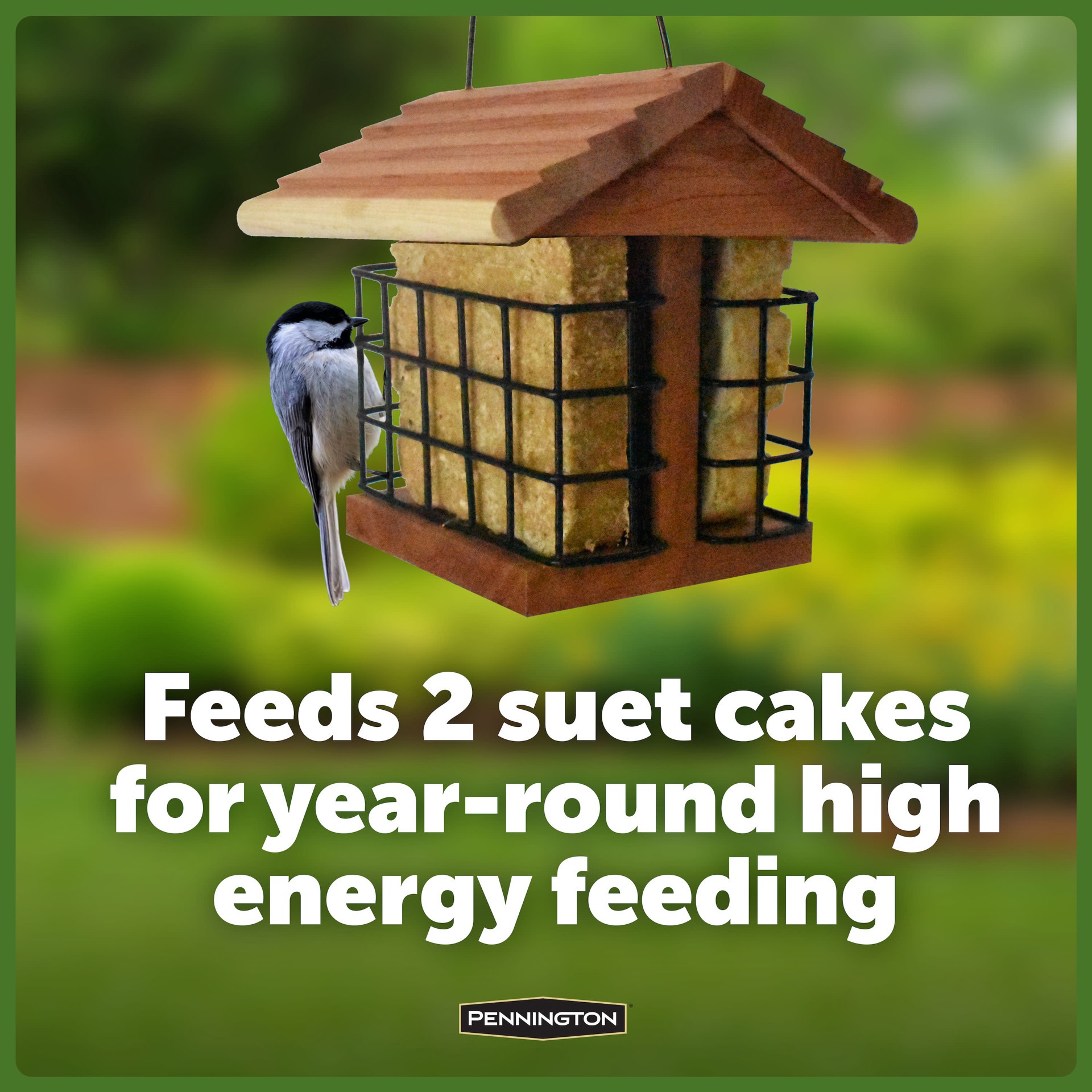 slide 2 of 6, Pennington CEDAR DOUBLE SUET FEEDER Wood Hanging Suet Suet feeder - 2-lb 2-cake Capacity, 1 ct