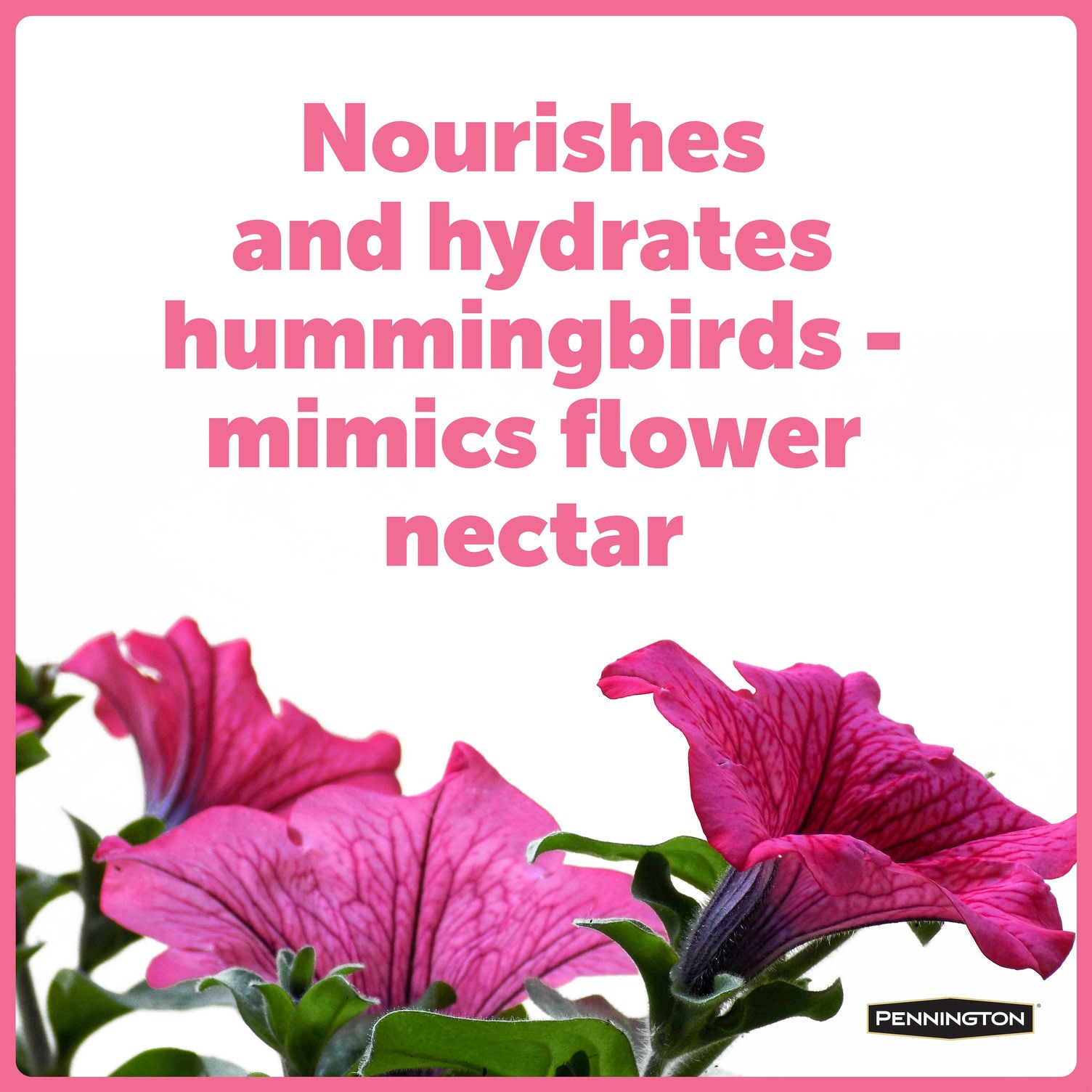 slide 3 of 6, Pennington Ultra Electro-Nectar Sugar Hummingbird nectar 80 Ounce(s), 1 ct