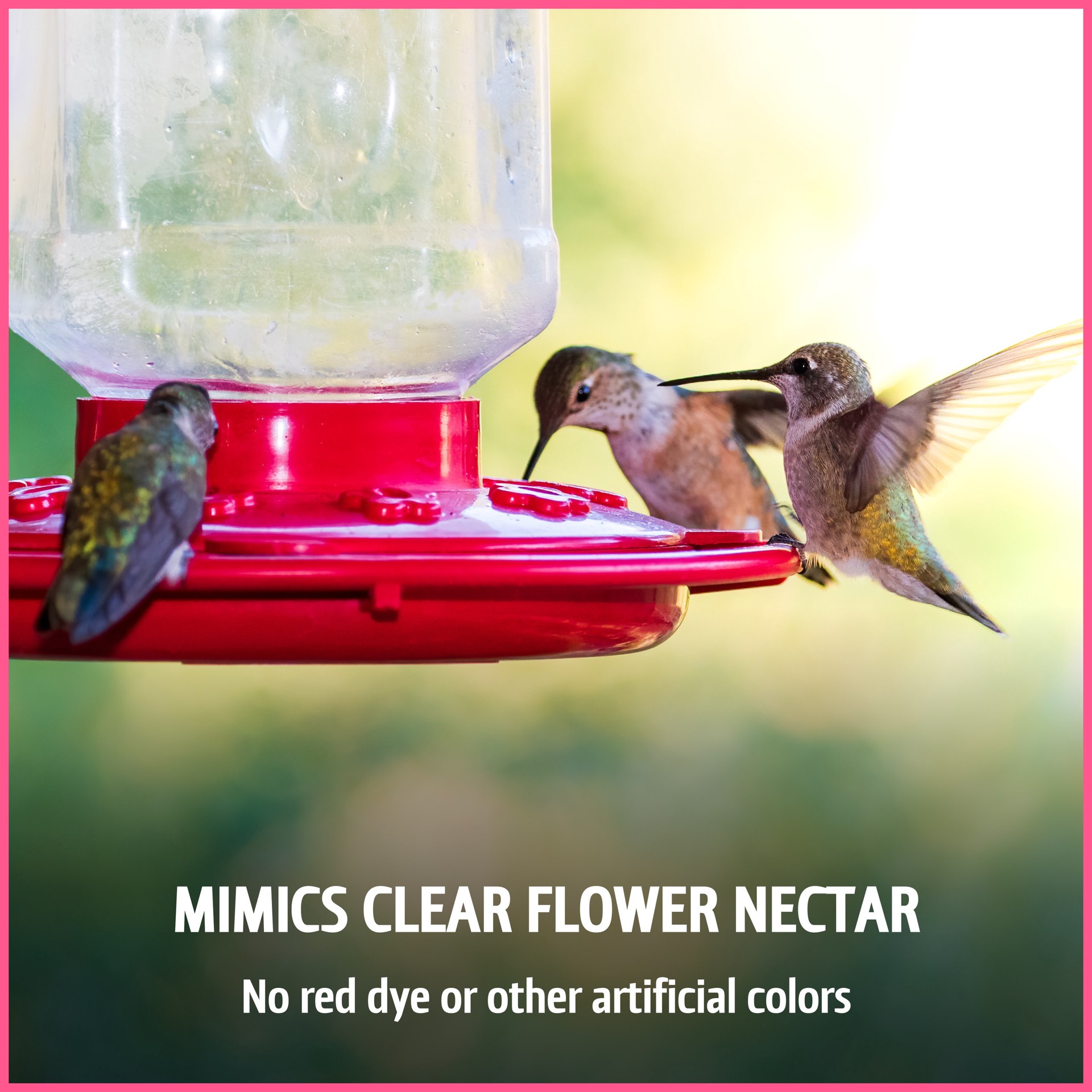 slide 4 of 6, Pennington Ultra Electro-Nectar Sugar Hummingbird nectar 80 Ounce(s), 1 ct